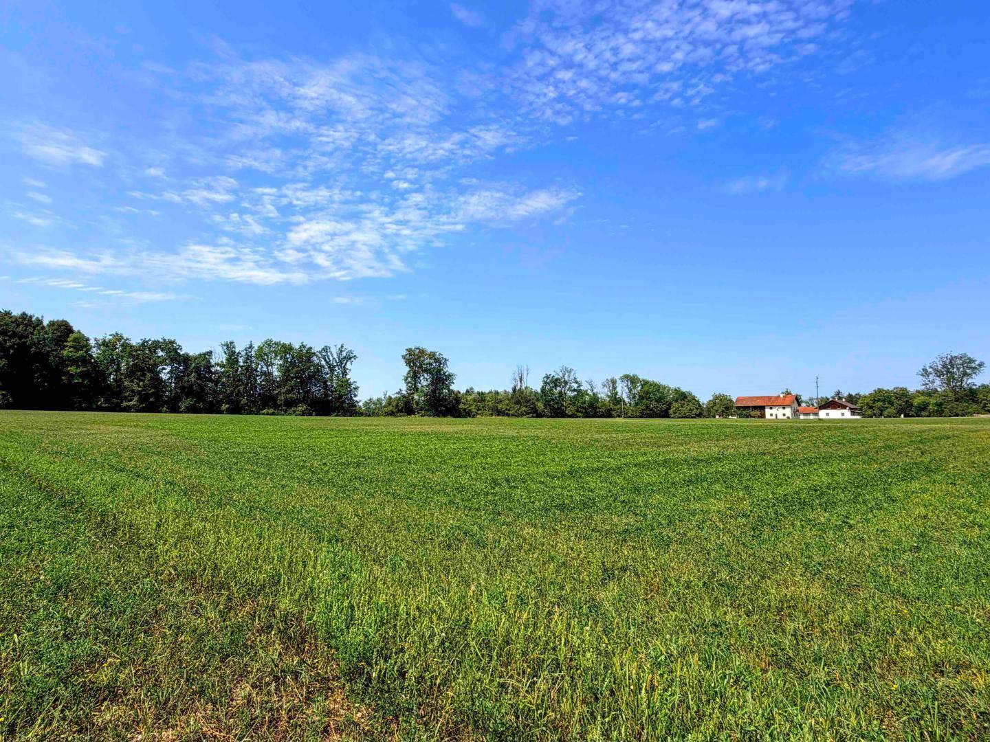 Weitläufiges grünes Feld mit Häusern in der Ferne und Waldrand unter blauem Himmel.