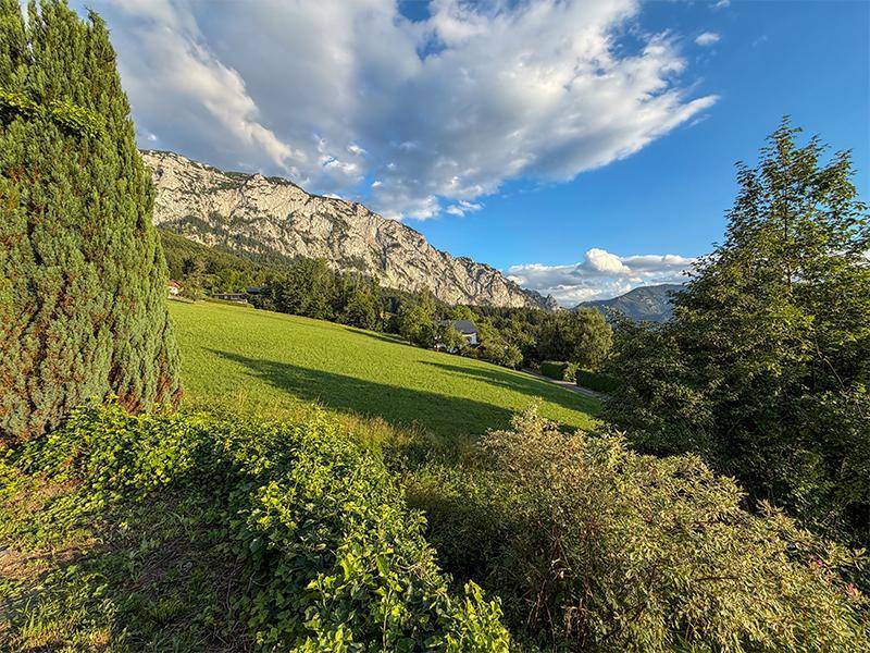 Weite grüne Wiesen und majestätische Berge unter einem bewölkten Himmel, umgeben von Bäumen.