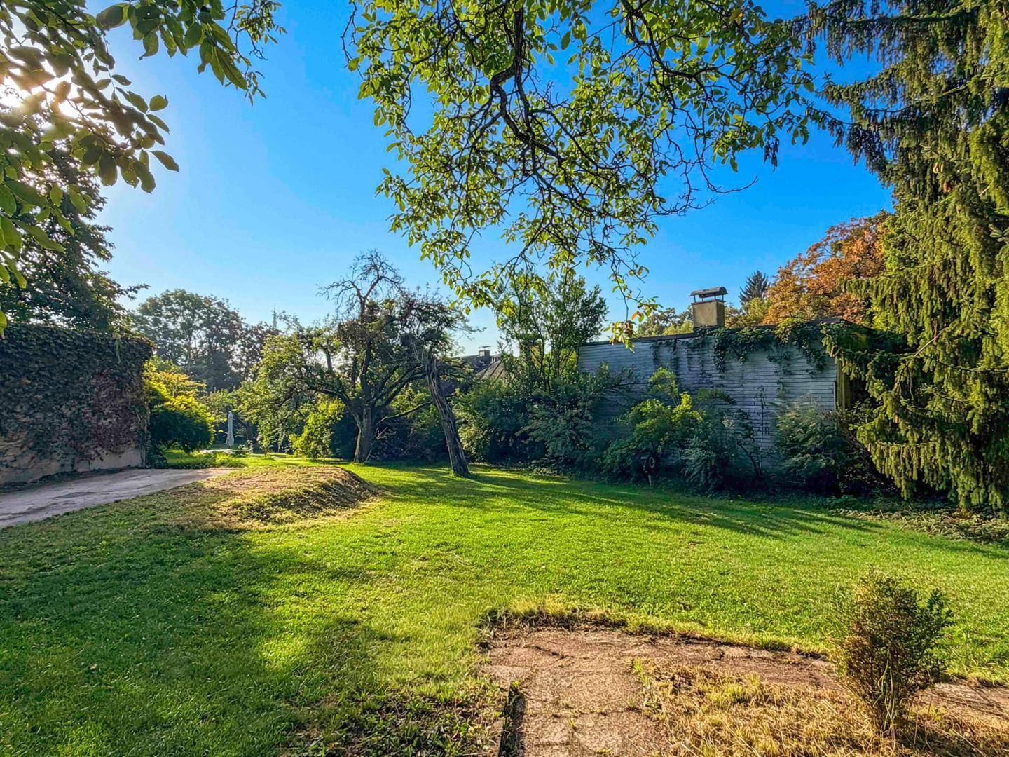 Weitläufiger Garten mit Rasen, altem Baumbestand und viel Grünfläche, beleuchtet von der Sonne.