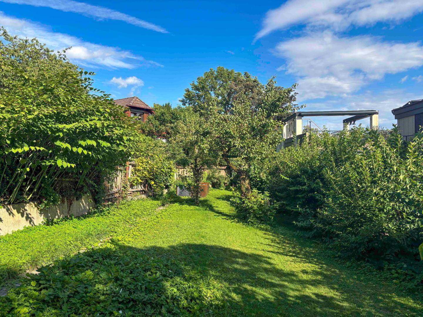 Gepflegter Gartenbereich mit üppiger Vegetation und sonnigen Flecken unter klarem Himmel.