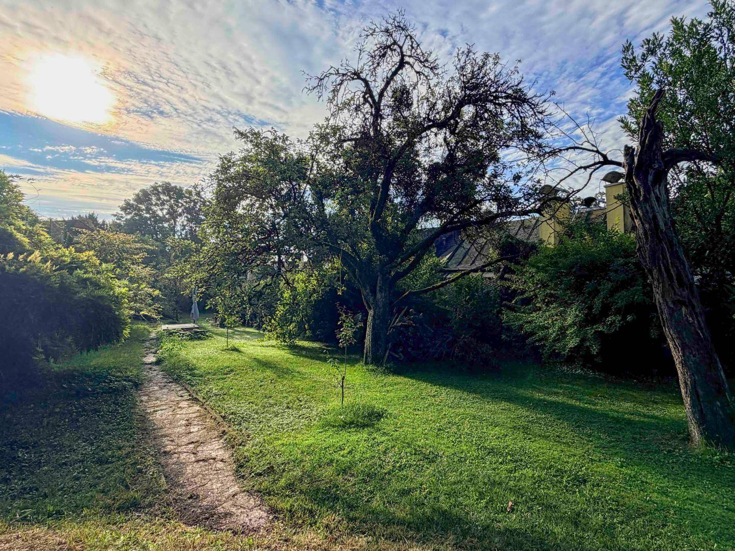 Idyllischer Gartenweg führt durch eine grüne Rasenfläche mit alten Bäumen im Sonnenlicht.
