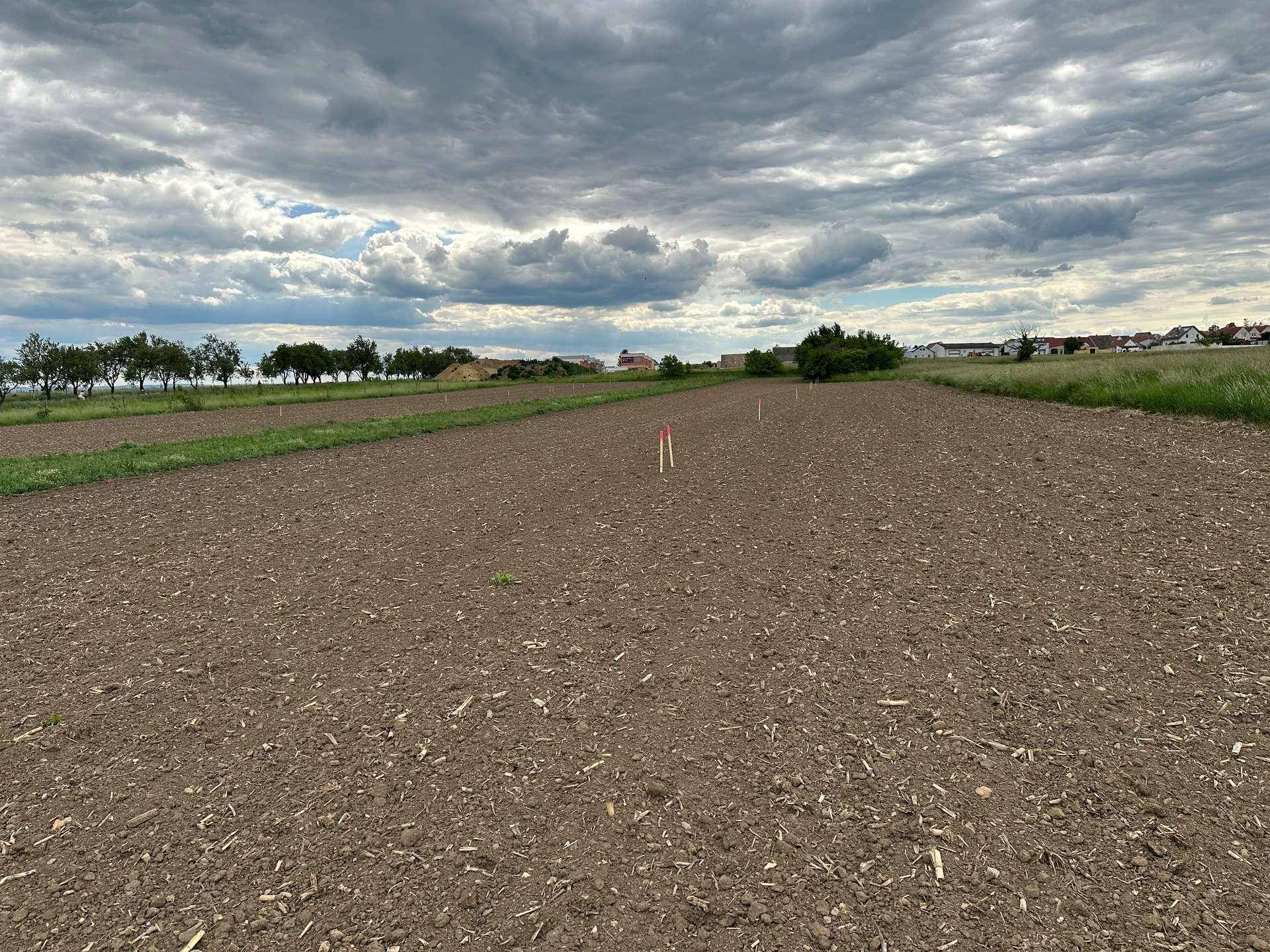 Weitläufiges Ackerfeld mit Markierungen und Bäumen im Hintergrund unter einem bewölkten Himmel.