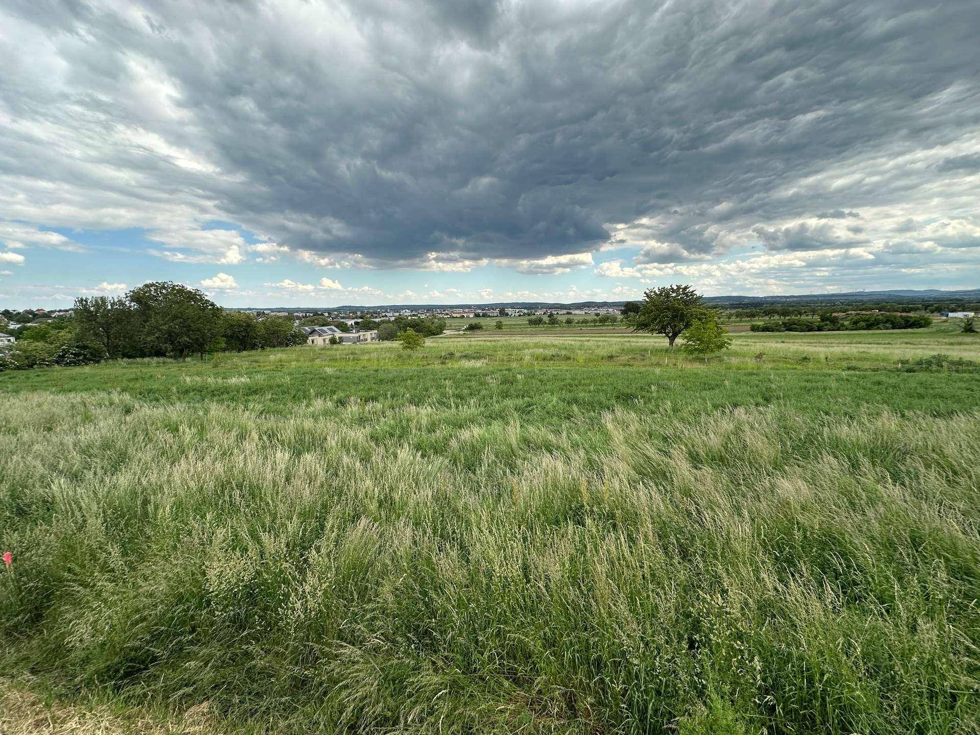 Weitläufiges Grasfeld mit Fernblick auf eine Siedlung unter einem dramatisch bewölkten Himmel.