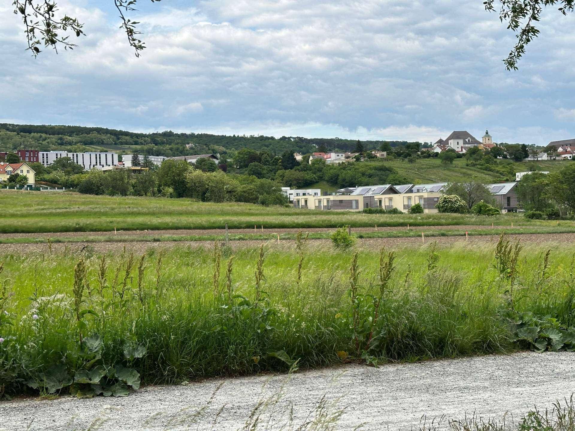 Ländliche Landschaft mit Feldern im Vordergrund und einem Dorf mit Kirche im Hintergrund unter bewölktem Himmel.