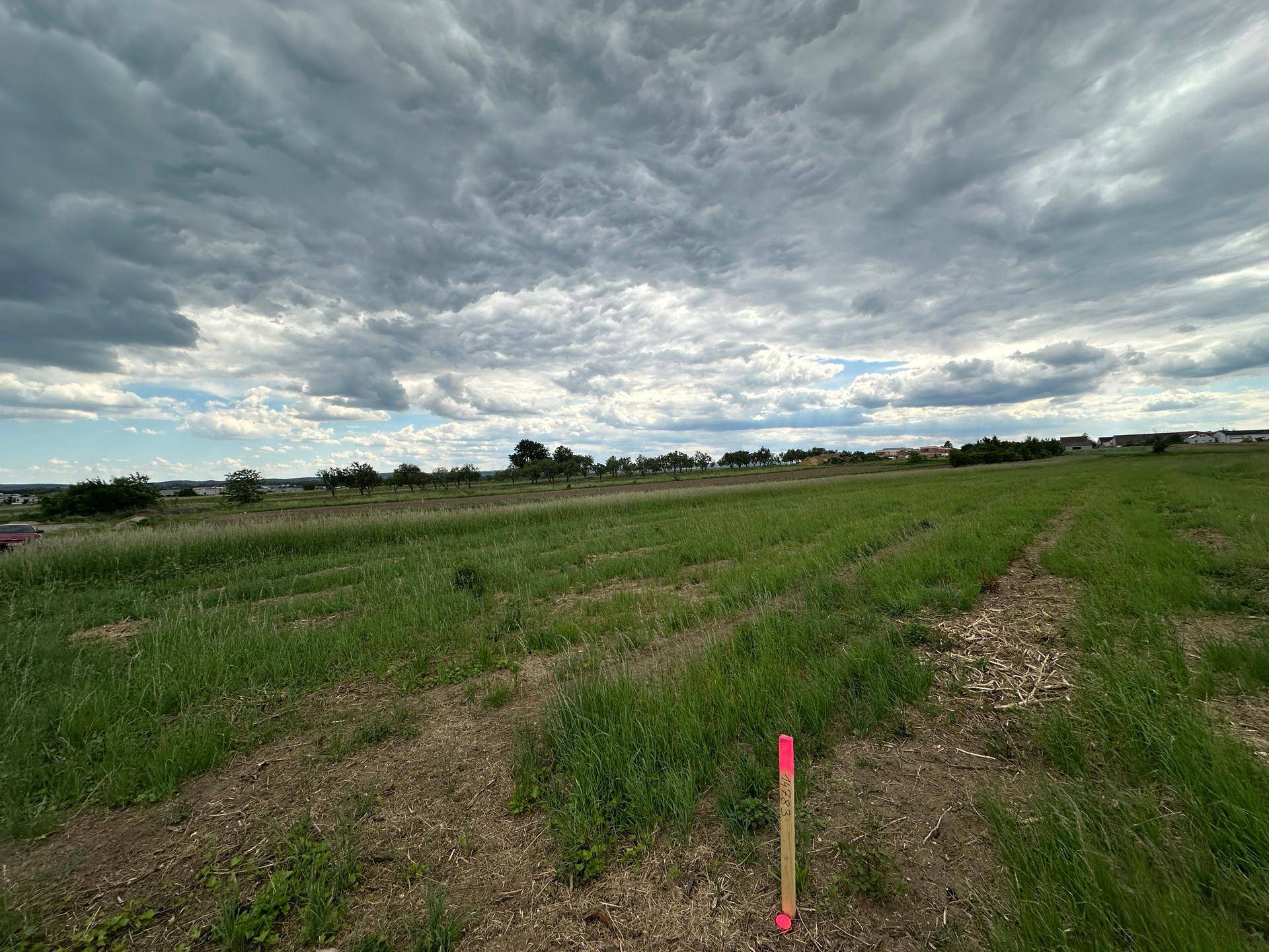 Neue Baugrundstücke in Bestlage von Eisenstadt - Ansicht 6