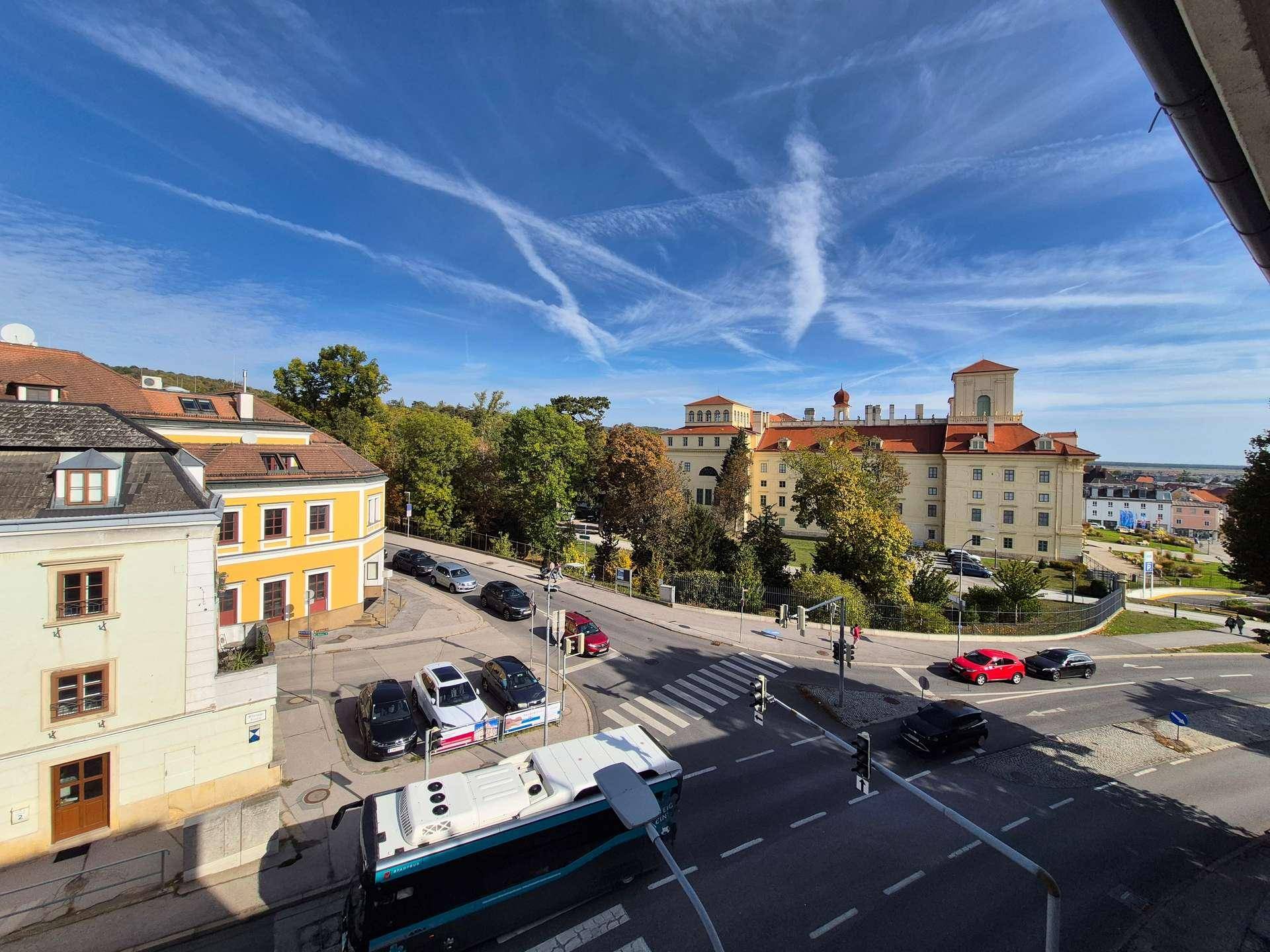 Weitläufiger Blick auf die Stadt mit historischen Gebäuden, einer Straße und einem Schloss im Hintergrund.
