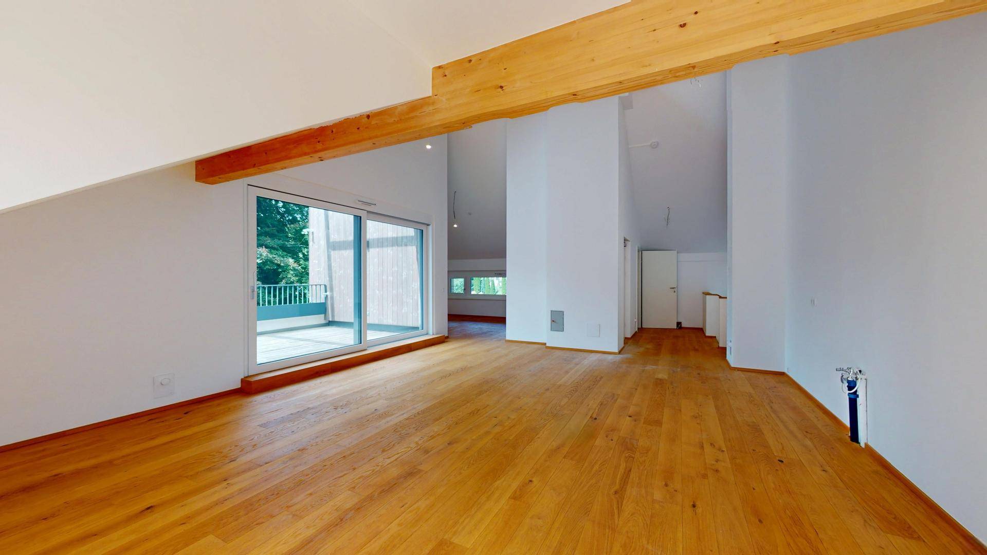 ERSTBEZUG-NEUBAU-Penthouse-mit-eigenem-Lift-in-St-Veit-im-Pongau-09012025_172135