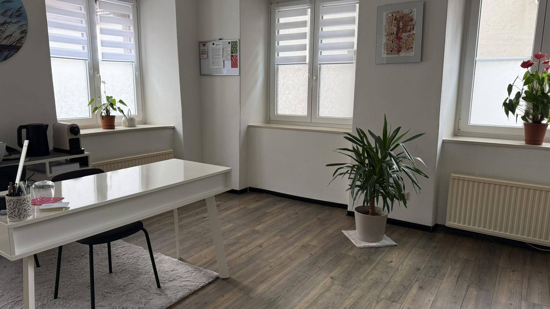Heller Büroraum mit Schreibtisch, Pflanzen und drei Fenstern, die viel Licht hereinlassen.