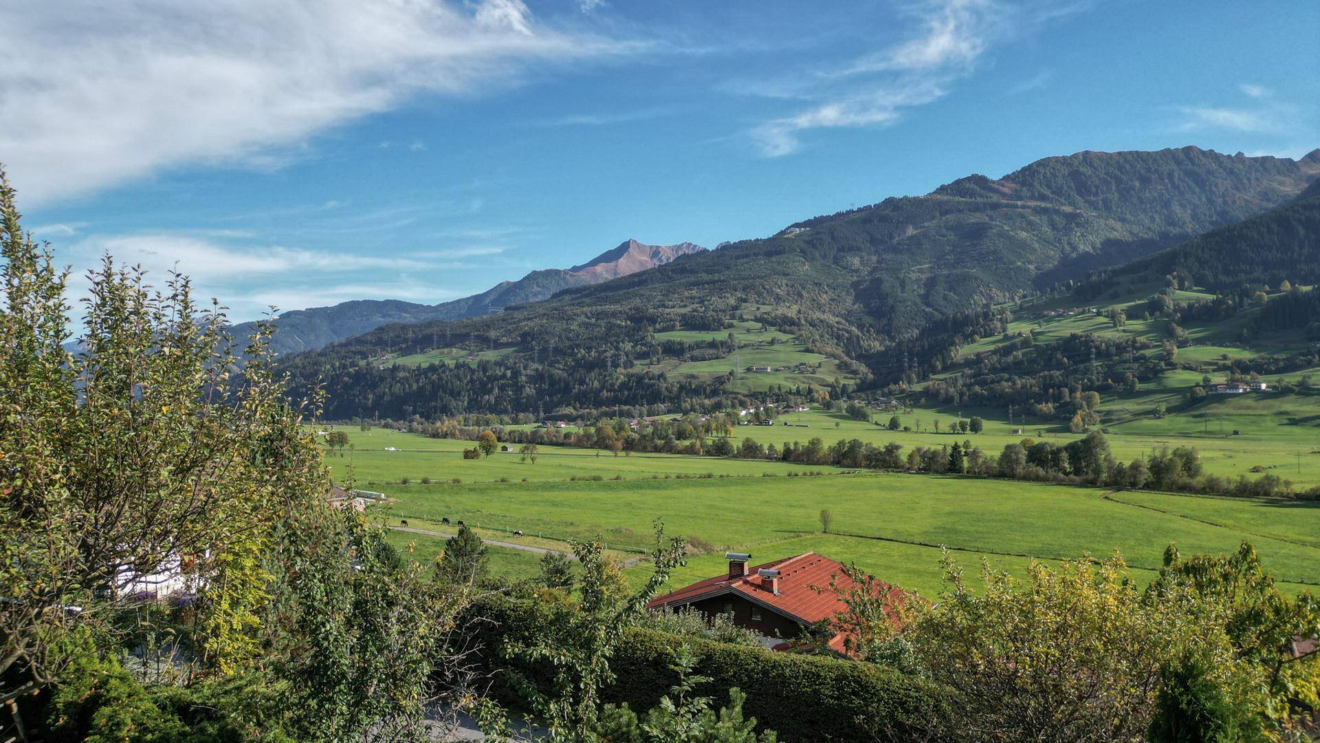 Weitläufiger Blick über grüne Wiesen und bewaldete Hügel bis zu den majestätischen Bergen.