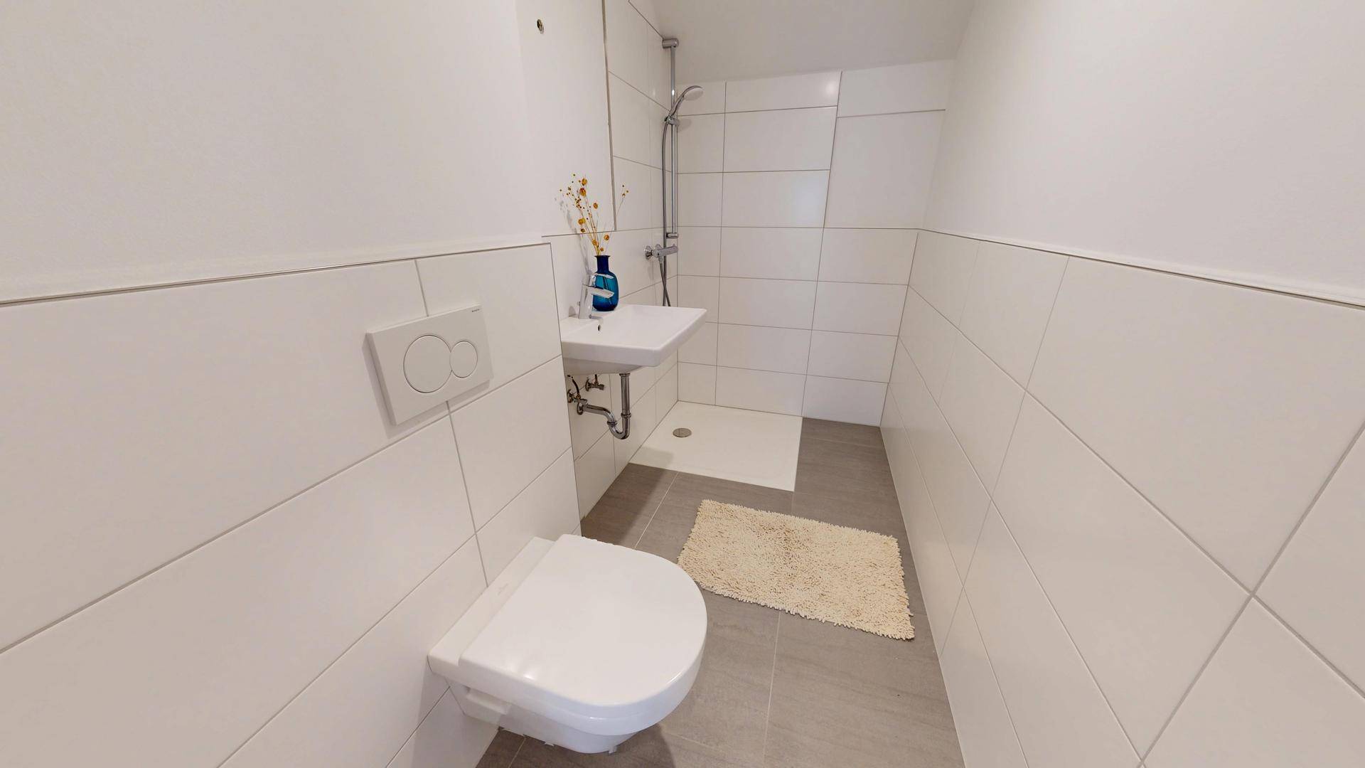 ERSTBEZUG-NEUBAU-Penthouse-mit-eigenem-Lift-in-St-Veit-im-Pongau-09012025_174033
