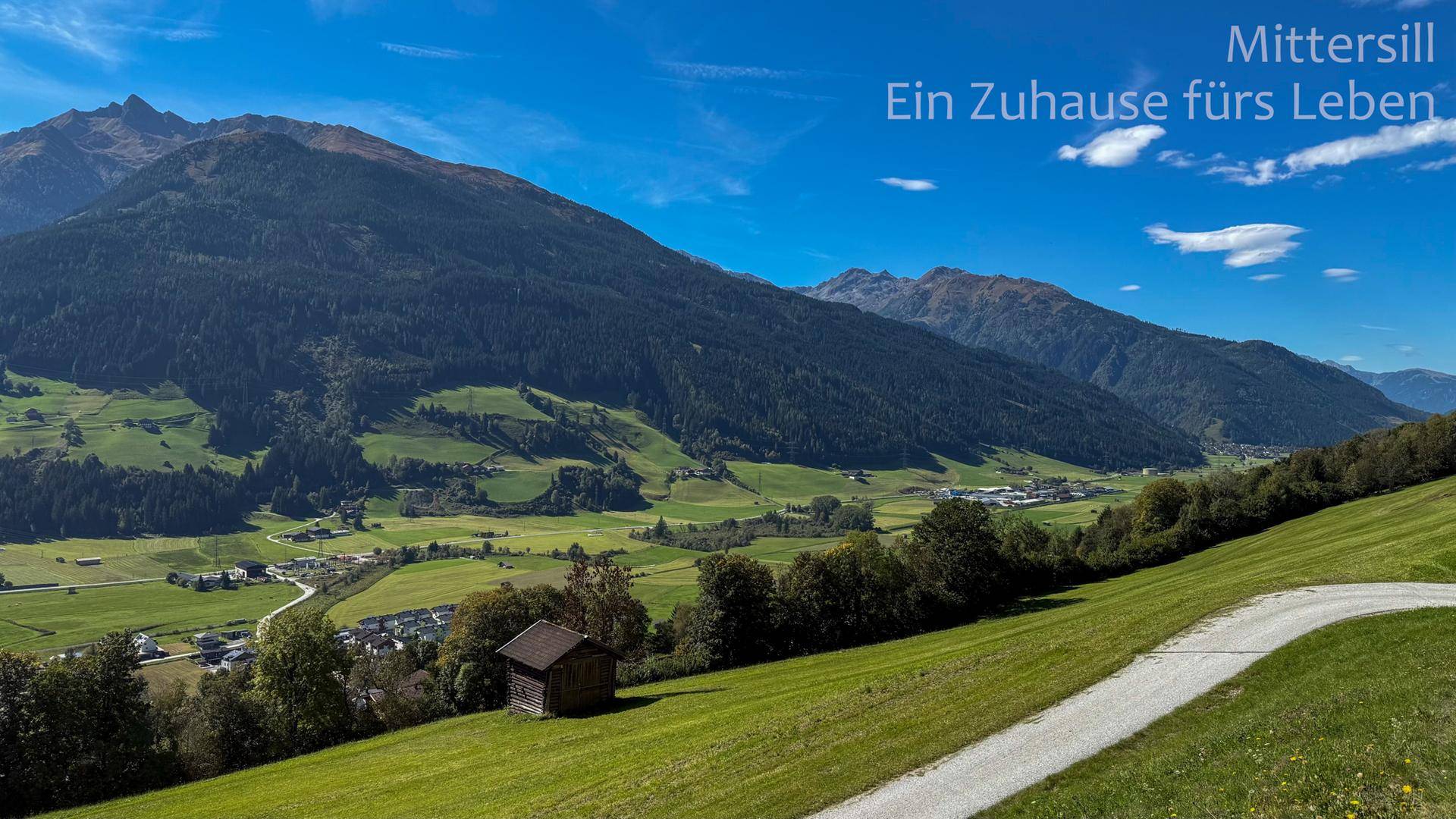 Malerische Landschaft mit grünen Wiesen, einem Feldweg und Bergen am Horizont.