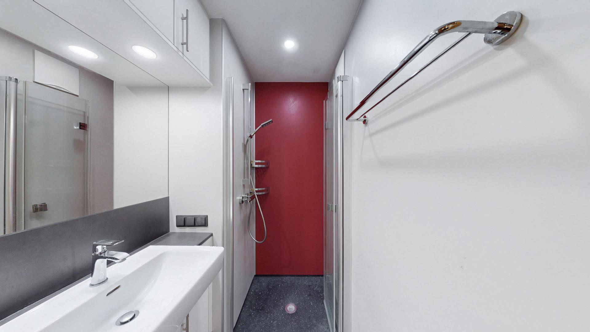Modernes Badezimmer mit begehbarer Dusche, Einzelwaschbecken und roter Akzentwand.