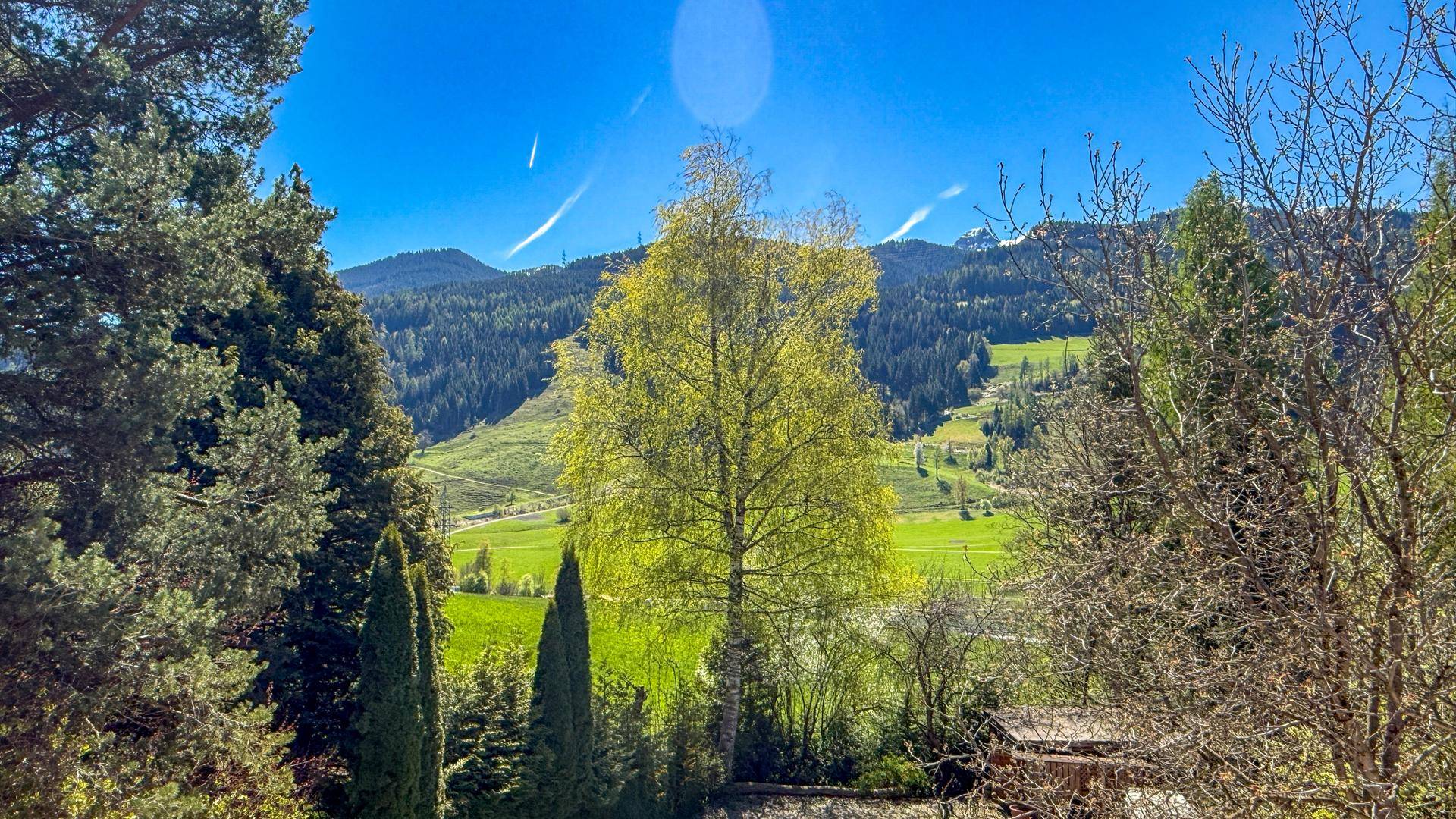 Weitläufiger Blick auf die grüne Hügellandschaft mit Bäumen und blauem Himmel.