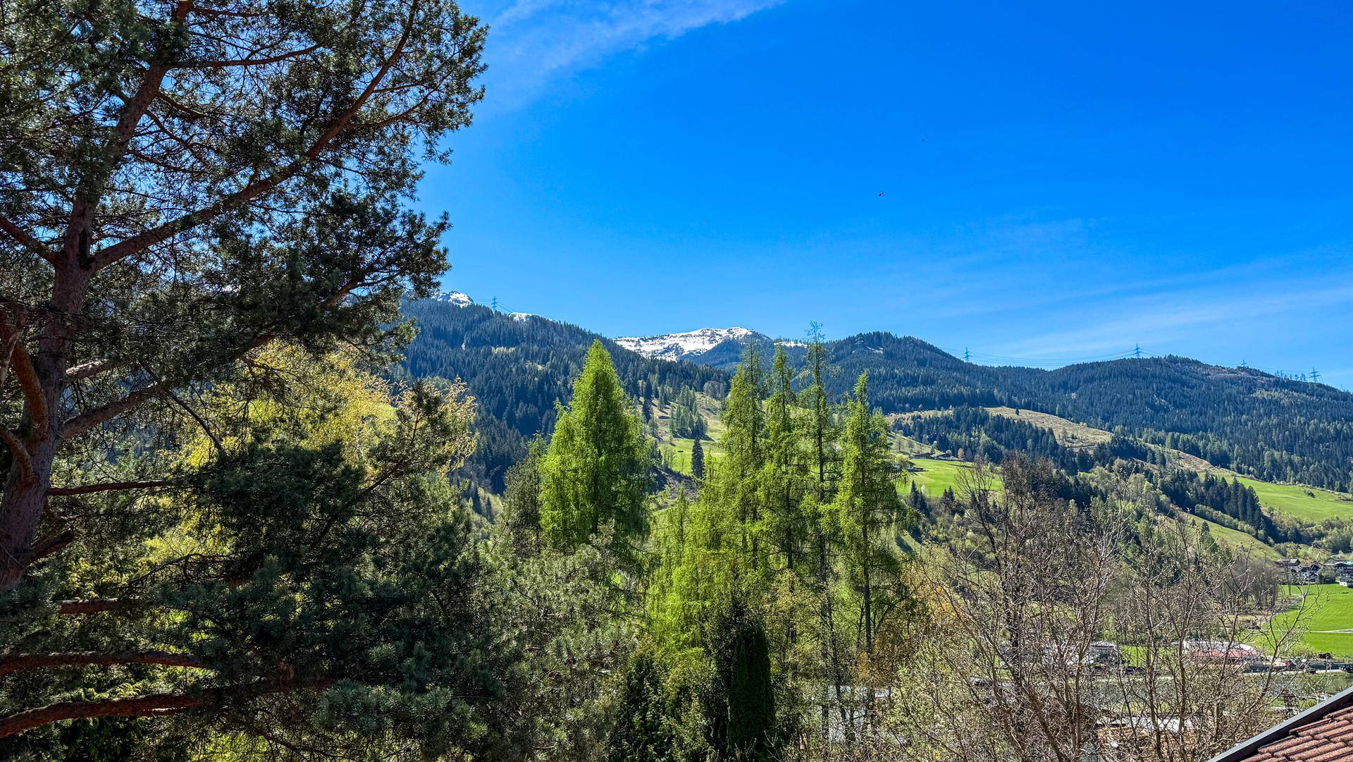 Idyllischer Blick auf die grüne Berglandschaft mit hohen Bäumen und schneebedeckten Gipfeln.