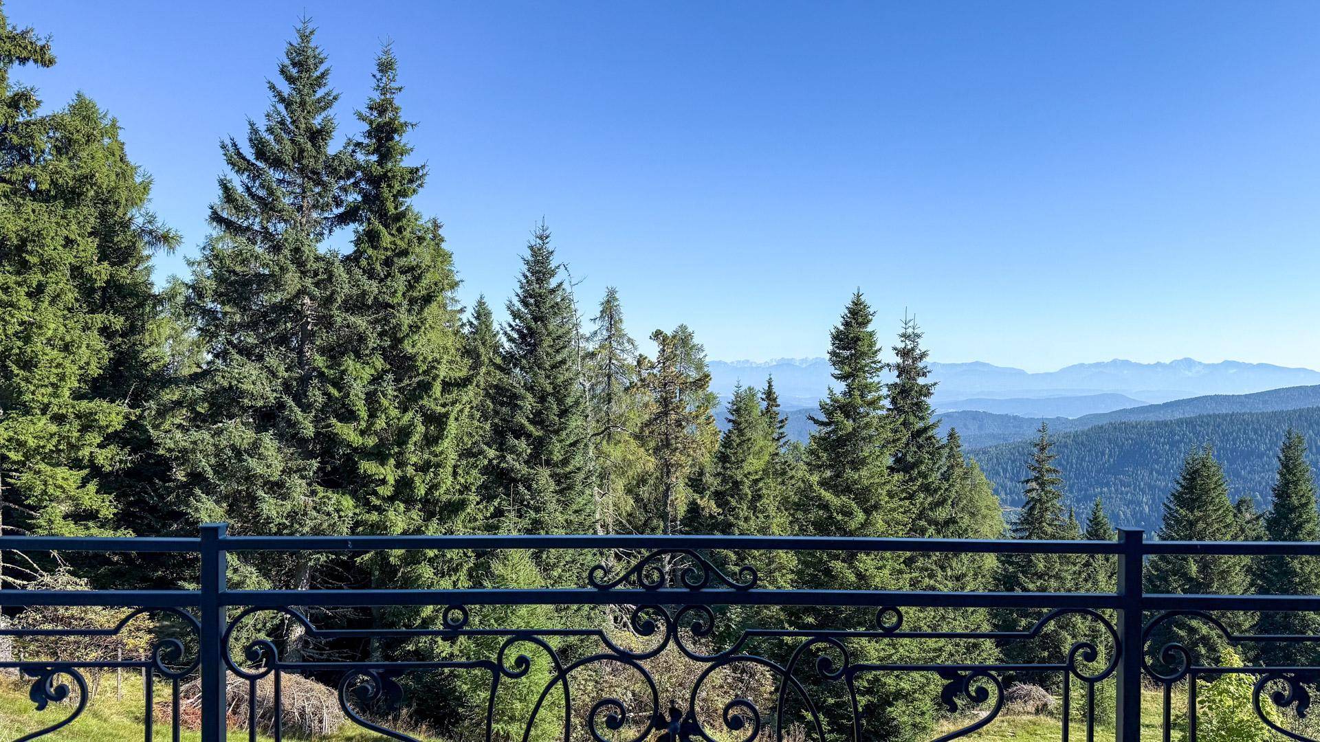 Panoramablick auf die bewaldeten Berge und Täler von einem Balkon mit schmiedeeisernem Geländer.