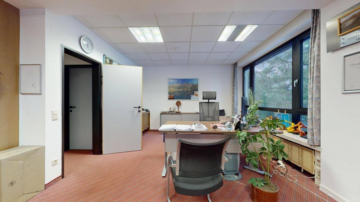 Büro mit Teppichboden, Schreibtisch und Pflanzen, das eine angenehme Arbeitsatmosphäre schafft.
