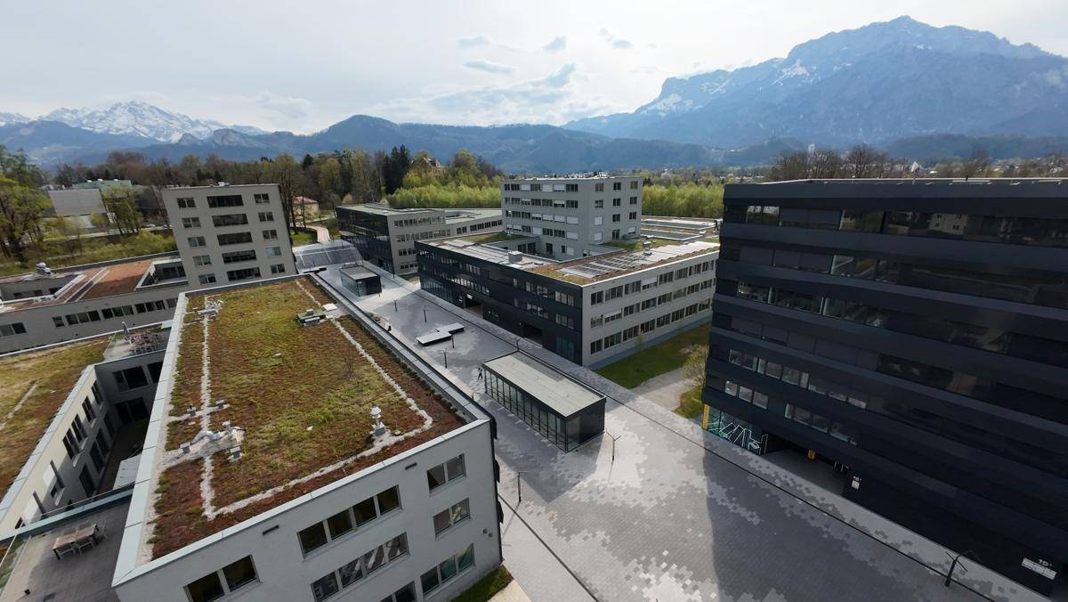 Luftaufnahme eines modernen Bürokomplexes mit begrünten Dächern und Bergblick im Hintergrund.