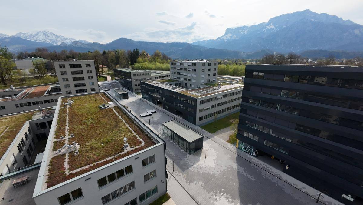 Luftaufnahme eines modernen Bürokomplexes mit begrünten Dächern und Bergblick im Hintergrund.