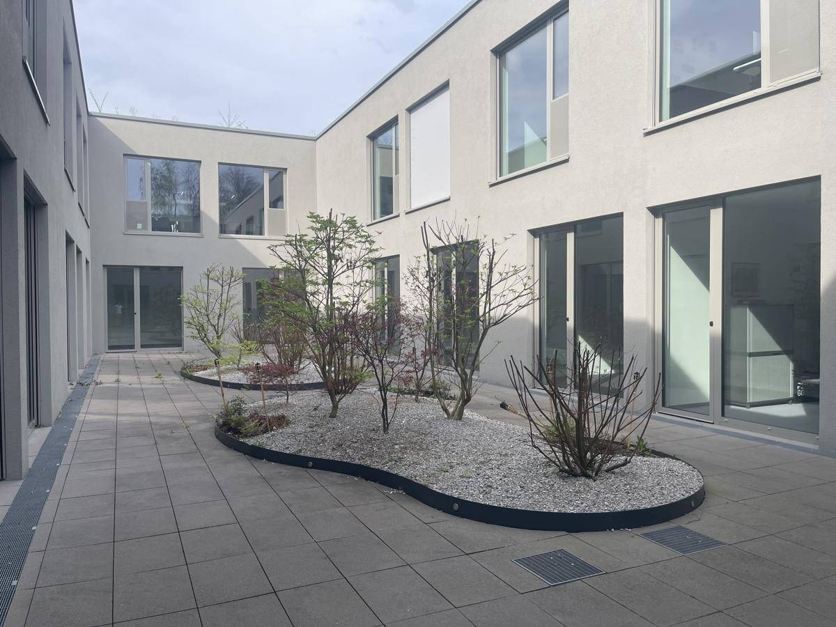 Innenhof mit modernen Pflastersteinen und dekorativen Pflanzen, umgeben von Gebäuden mit großen Fenstern.