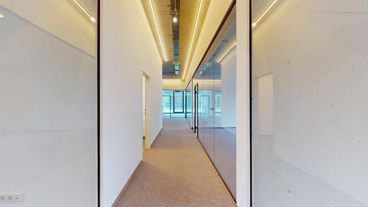 Langer Flur mit Teppichboden, Glaswänden zu Büros und indirekter Beleuchtung, schafft eine moderne Atmosphäre.
