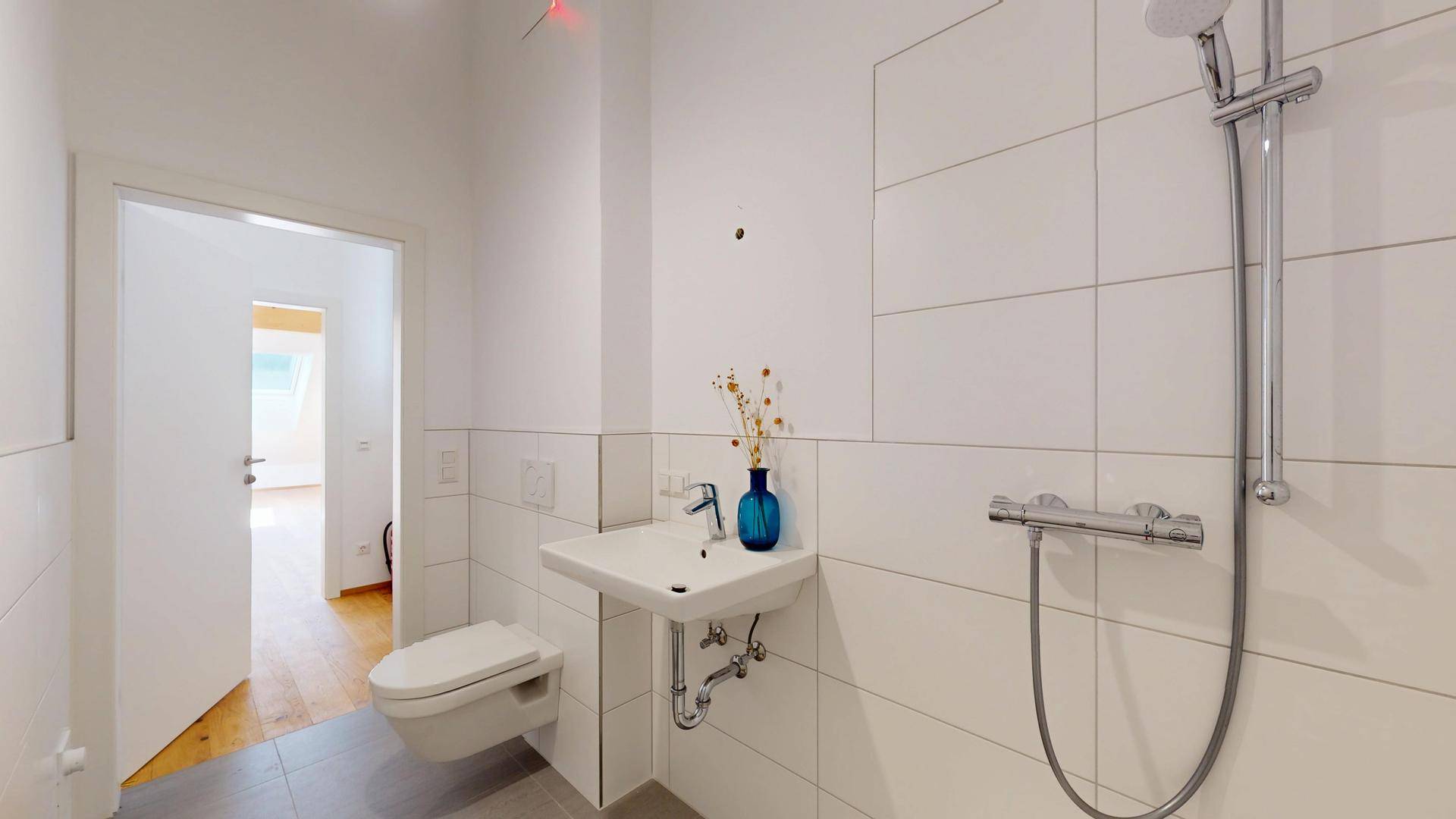 ERSTBEZUG-NEUBAU-Penthouse-mit-eigenem-Lift-in-St-Veit-im-Pongau-09012025_174133