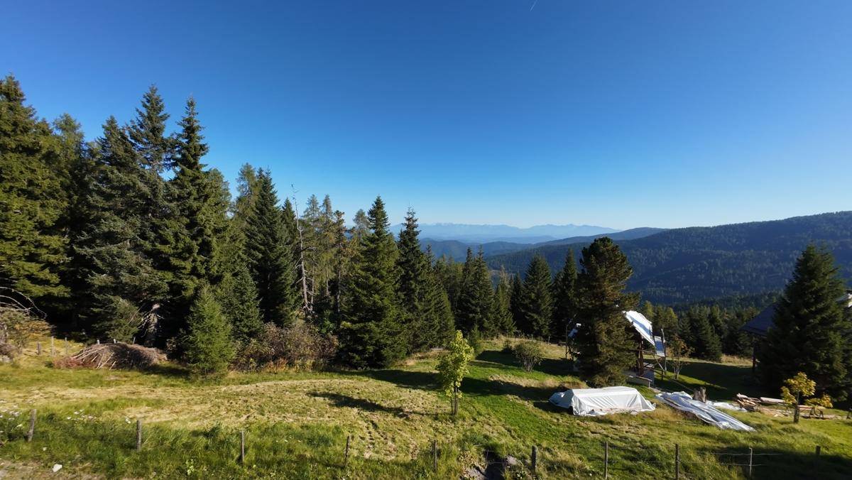 Weitläufige Berglandschaft mit grünen Wäldern und klarem blauem Himmel.