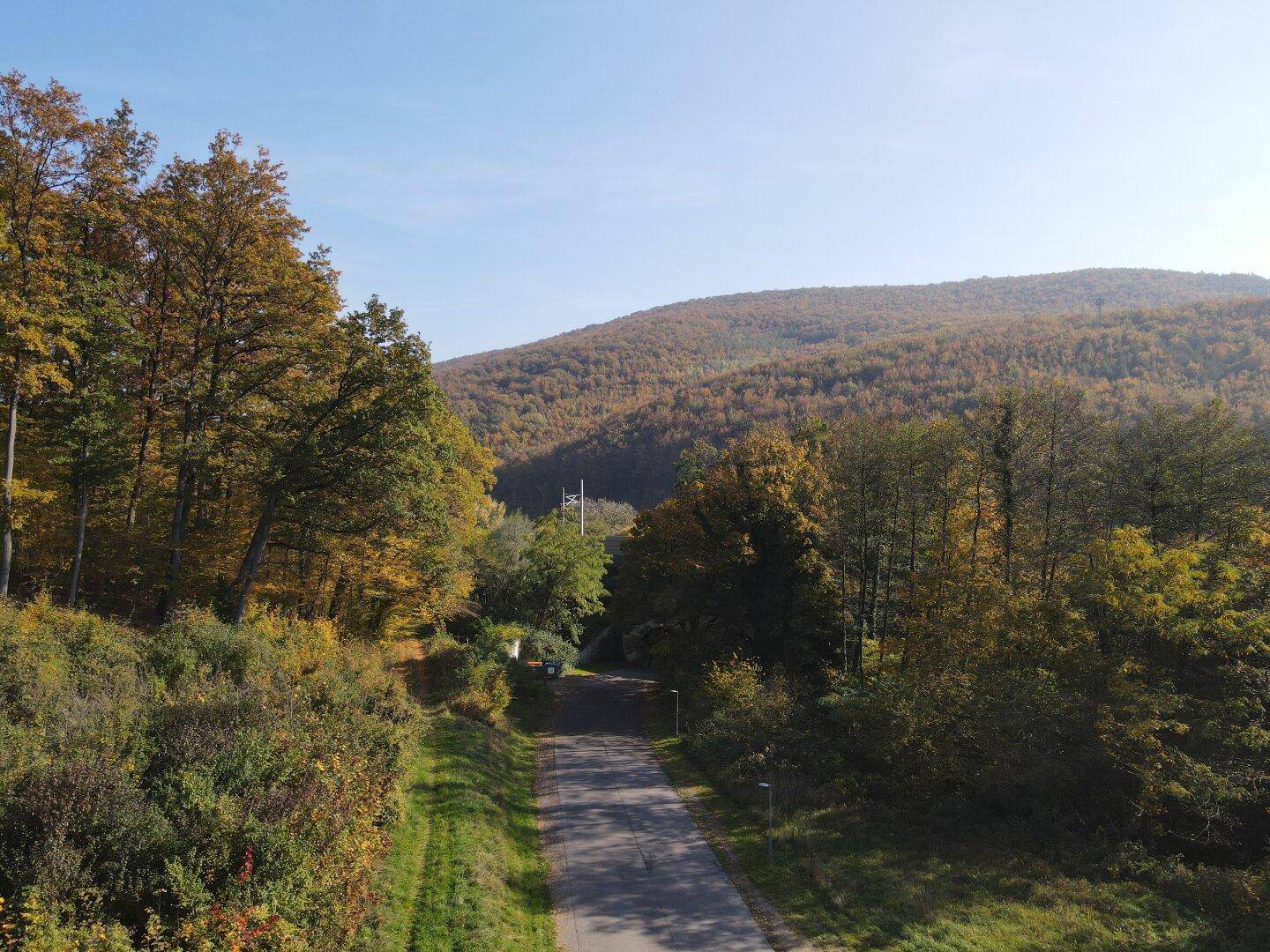 Weitläufige Ansicht einer Straße, die sich durch eine bewaldete Hügellandschaft schlängelt.