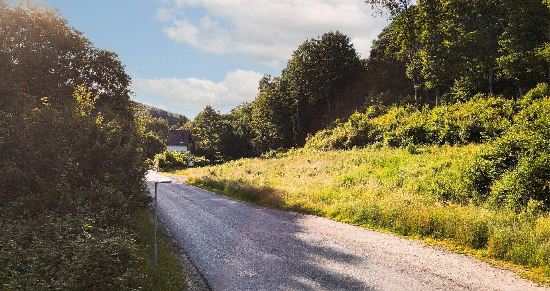 Ländliche Straße führt durch eine grüne Hügellandschaft mit vereinzelten Häusern im Hintergrund.