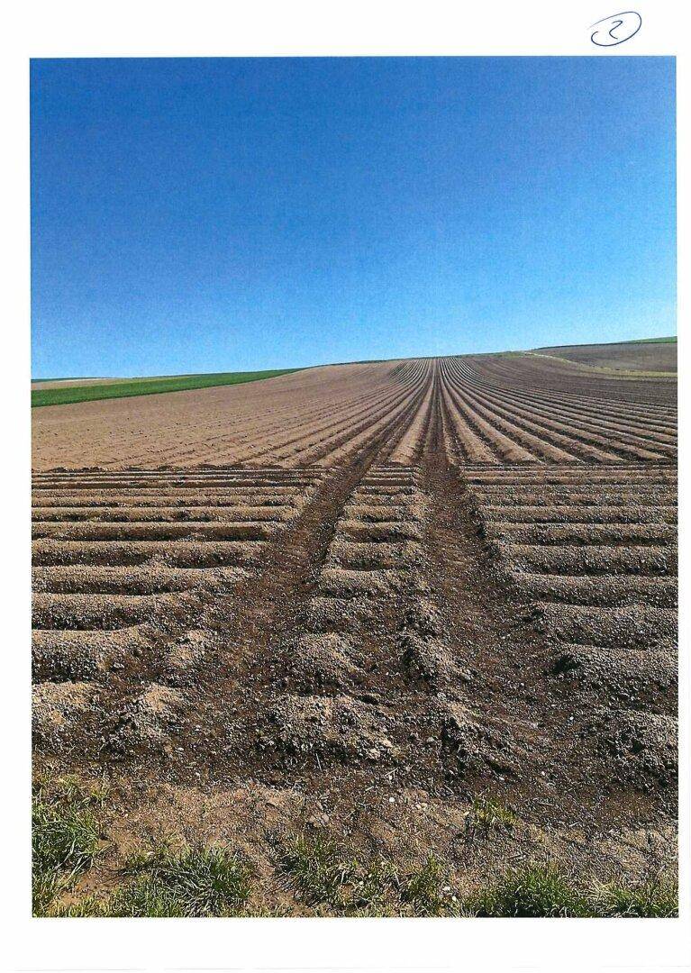 Frisch bearbeitetes Feld mit deutlichen Spuren von Landmaschinen unter einem weiten blauen Himmel.