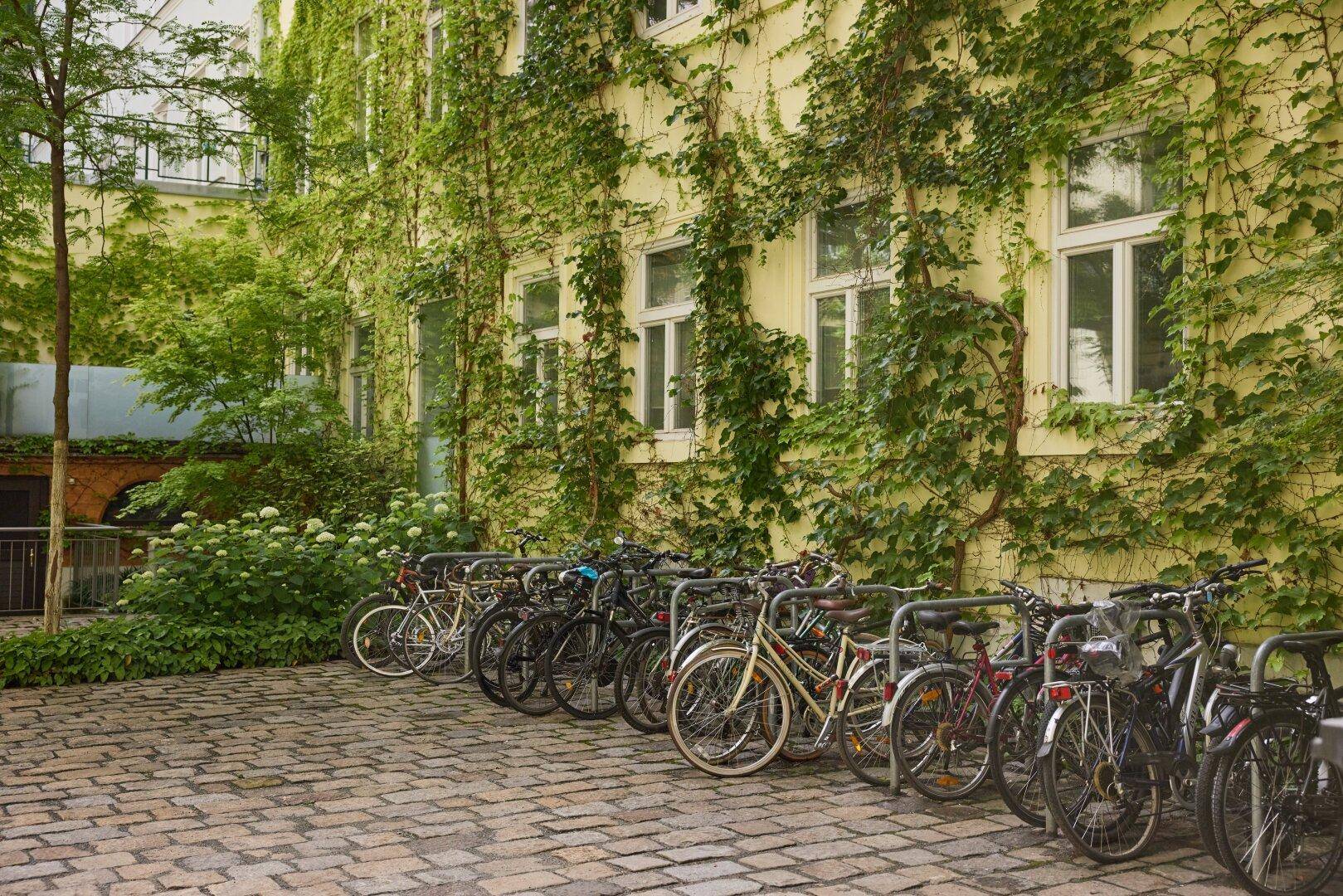 Innenhof eines Gebäudes mit Efeu bewachsenen Wänden und Fahrradständern.