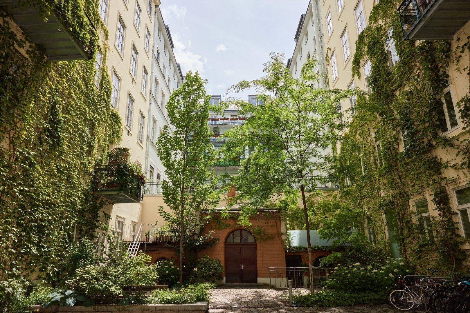 Begrünter Innenhof mit Bäumen und Efeu an den Fassaden, im Hintergrund ein Backsteingebäude mit Torbogen.