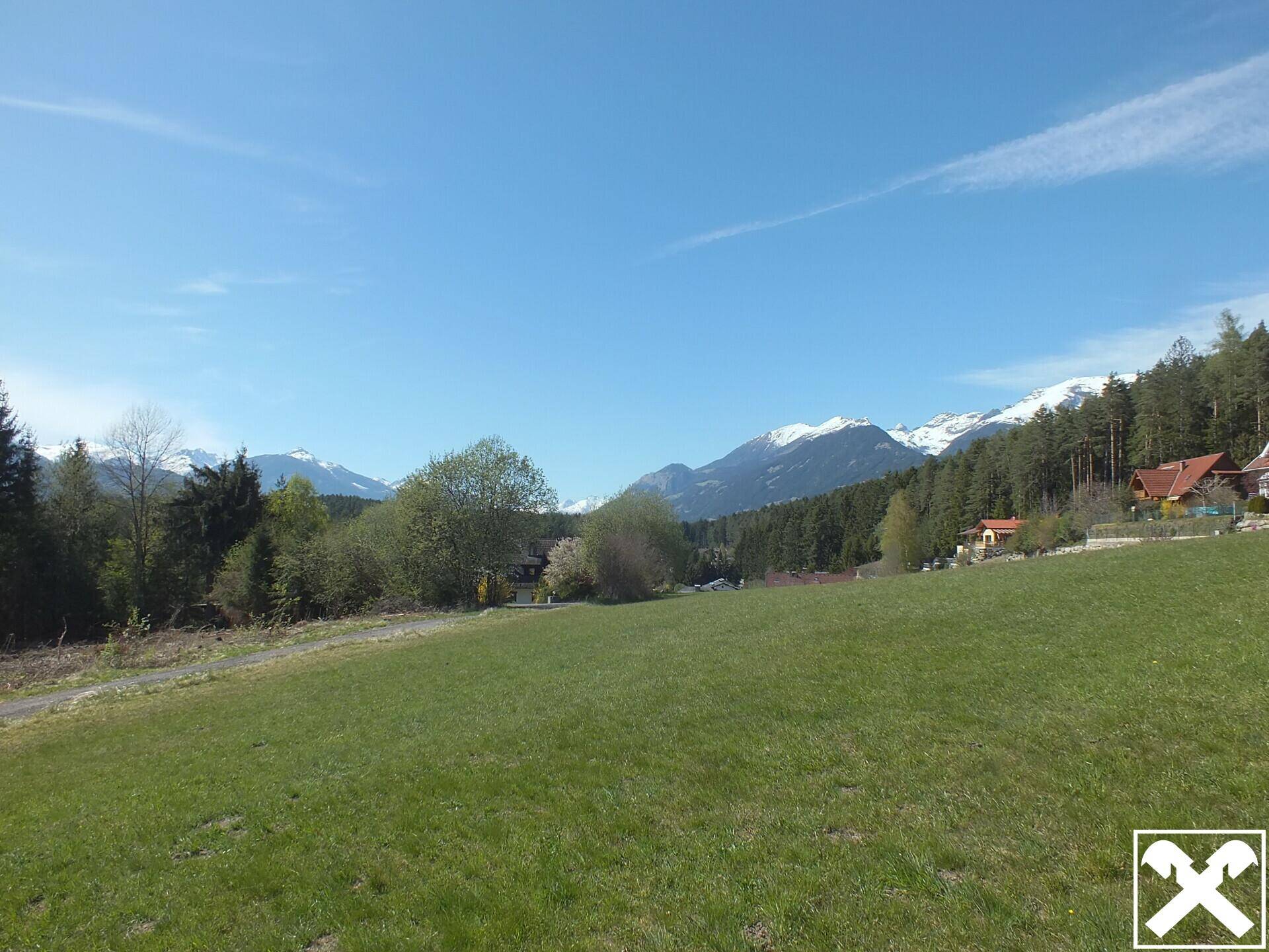 Lebendige grüne Wiese mit schneebedeckten Bergen in der Ferne, umgeben von Bäumen und Häusern.