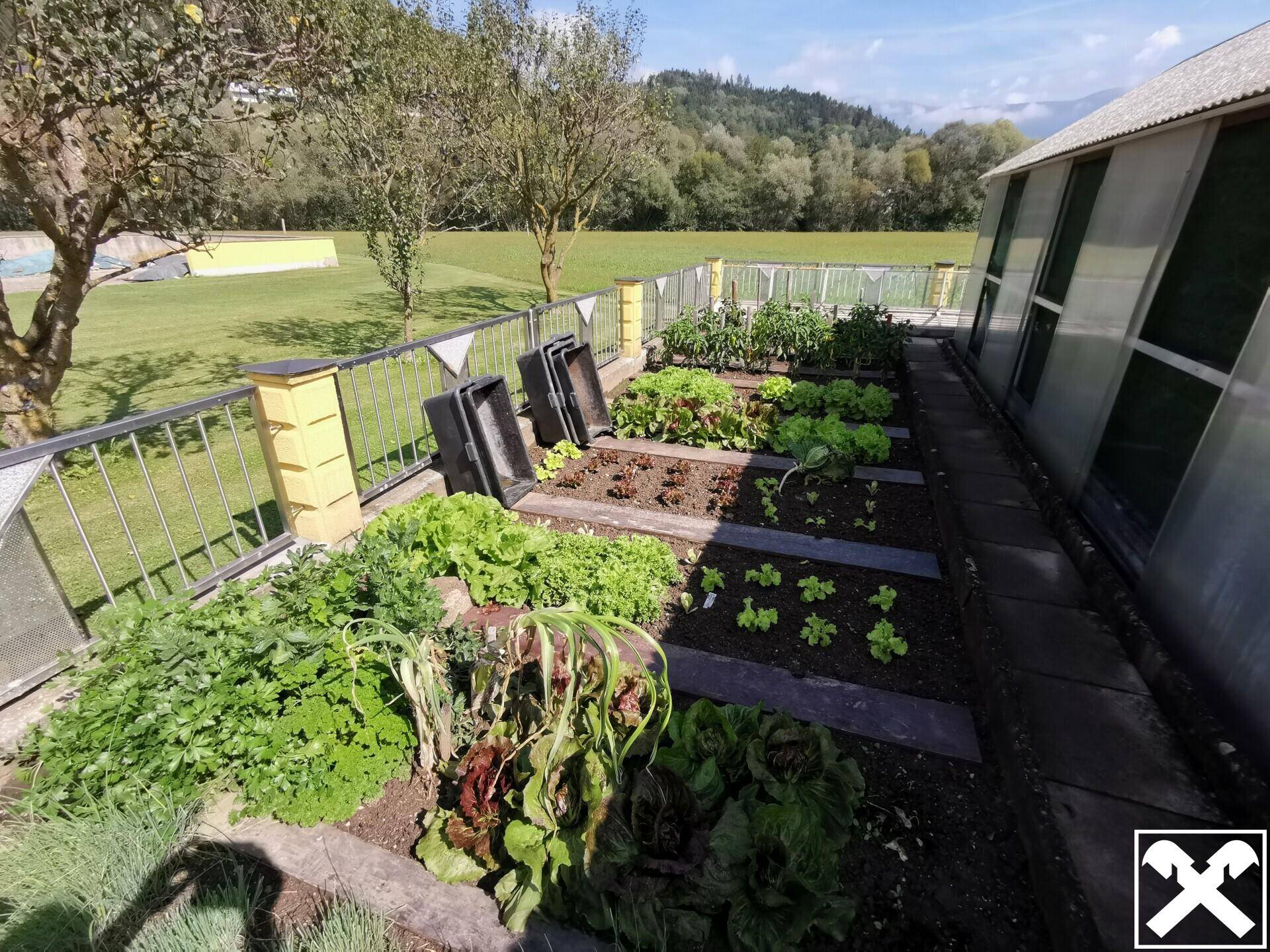 Detaillierter Blick auf die bepflanzten Hochbeete des Gemüsegartens mit frischem Grün.