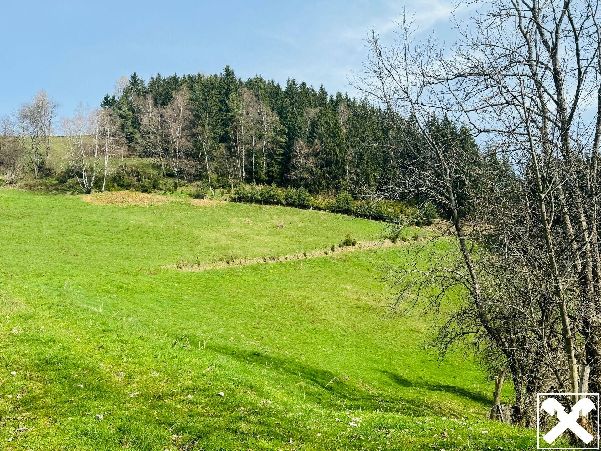 Weitläufige grüne Wiesen und bewaldete Hügel unter einem bewölkten Himmel, typisch für ländliche Gegenden.