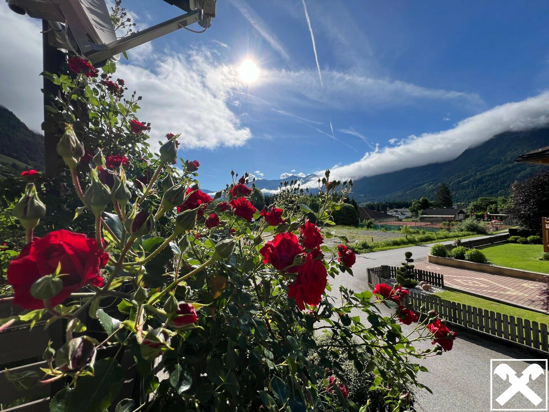 großartiger Ausblick Balkon EG