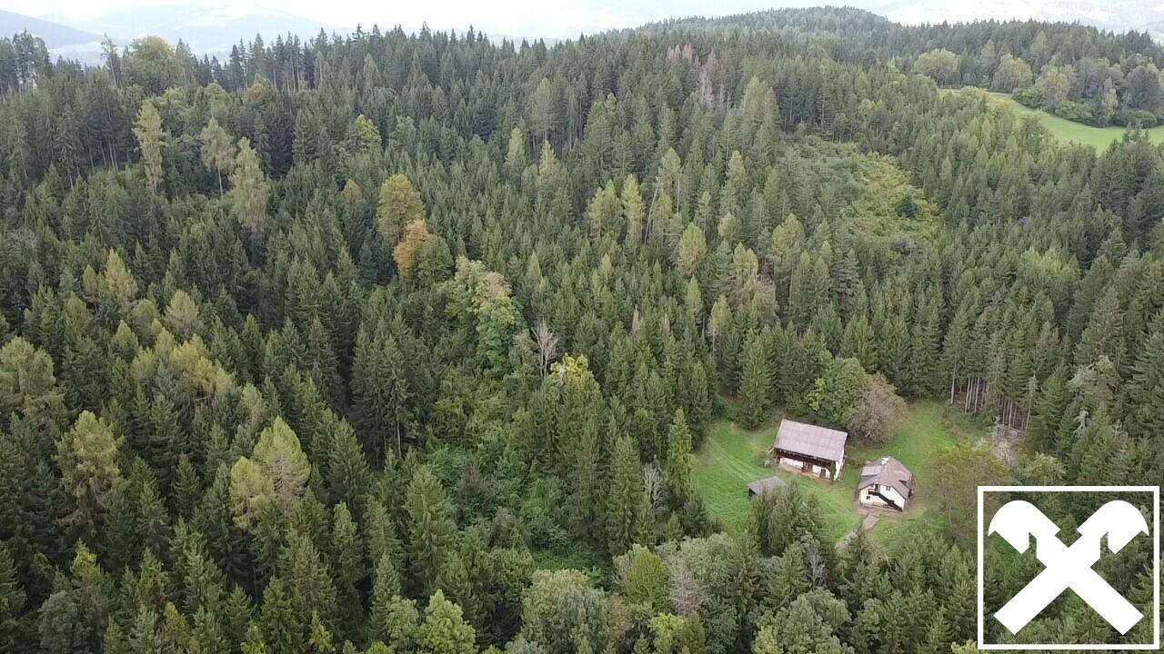 Hofstelle mit Waldparzellen im Hintergrund