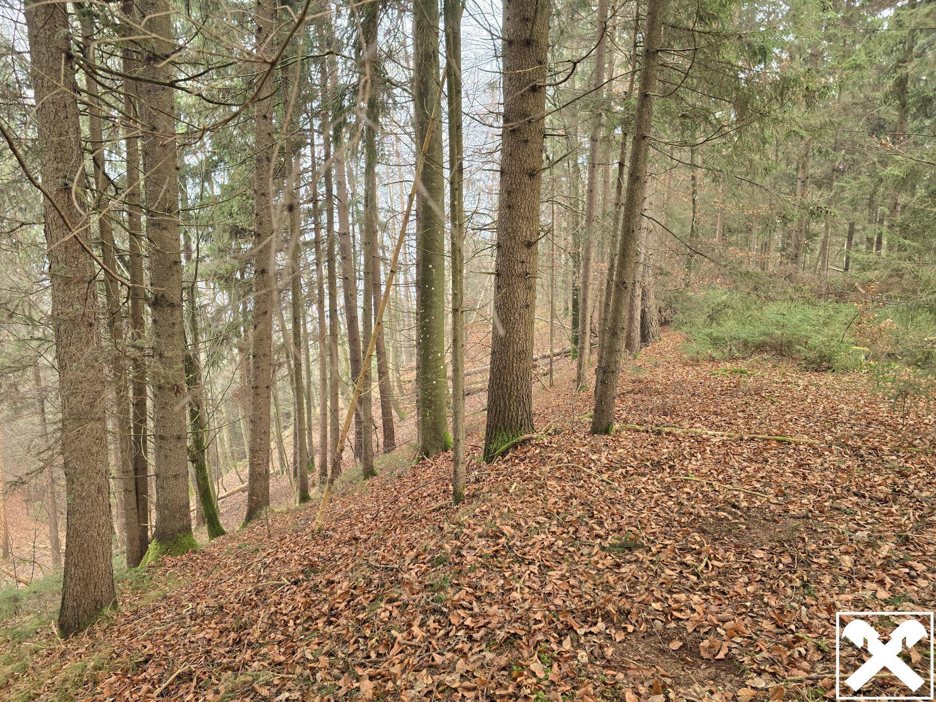 Waldgrundstück