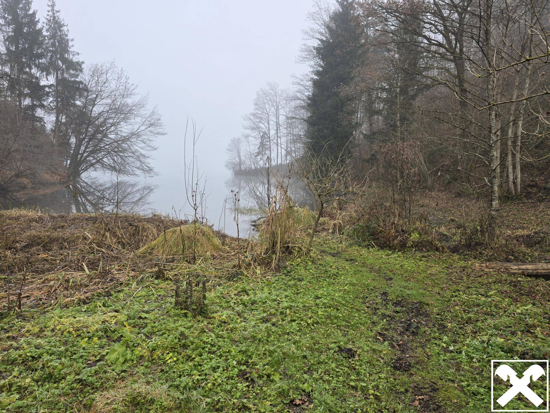 Waldgrundstück