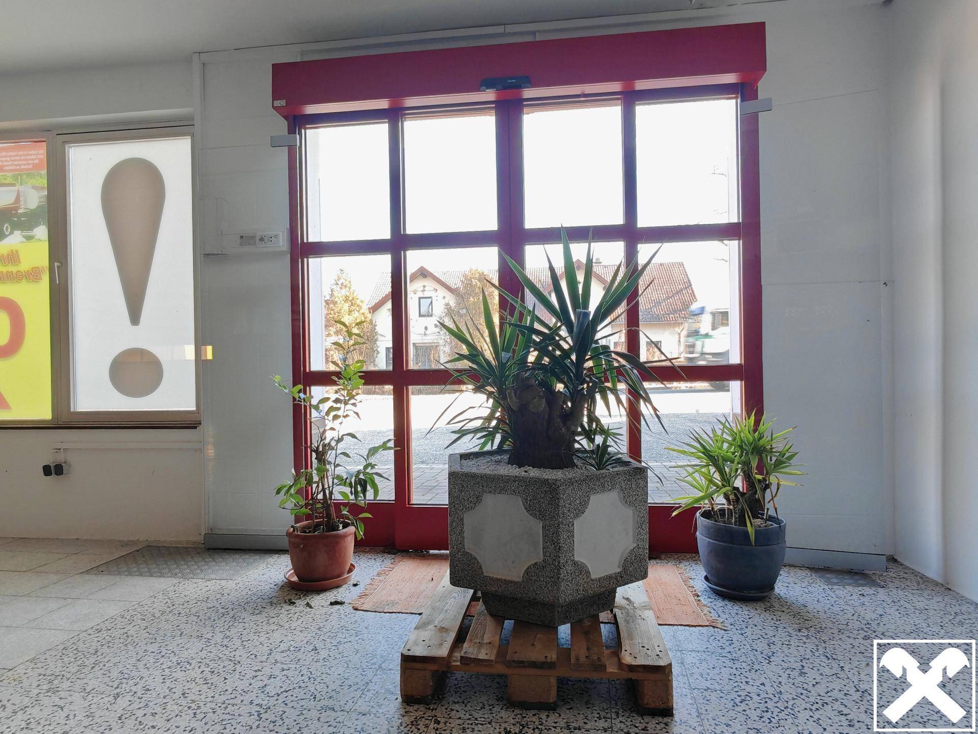 Heller Eingangsbereich mit großen roten Fenstern, Topfpflanzen und einem robusten Terrazzoboden.