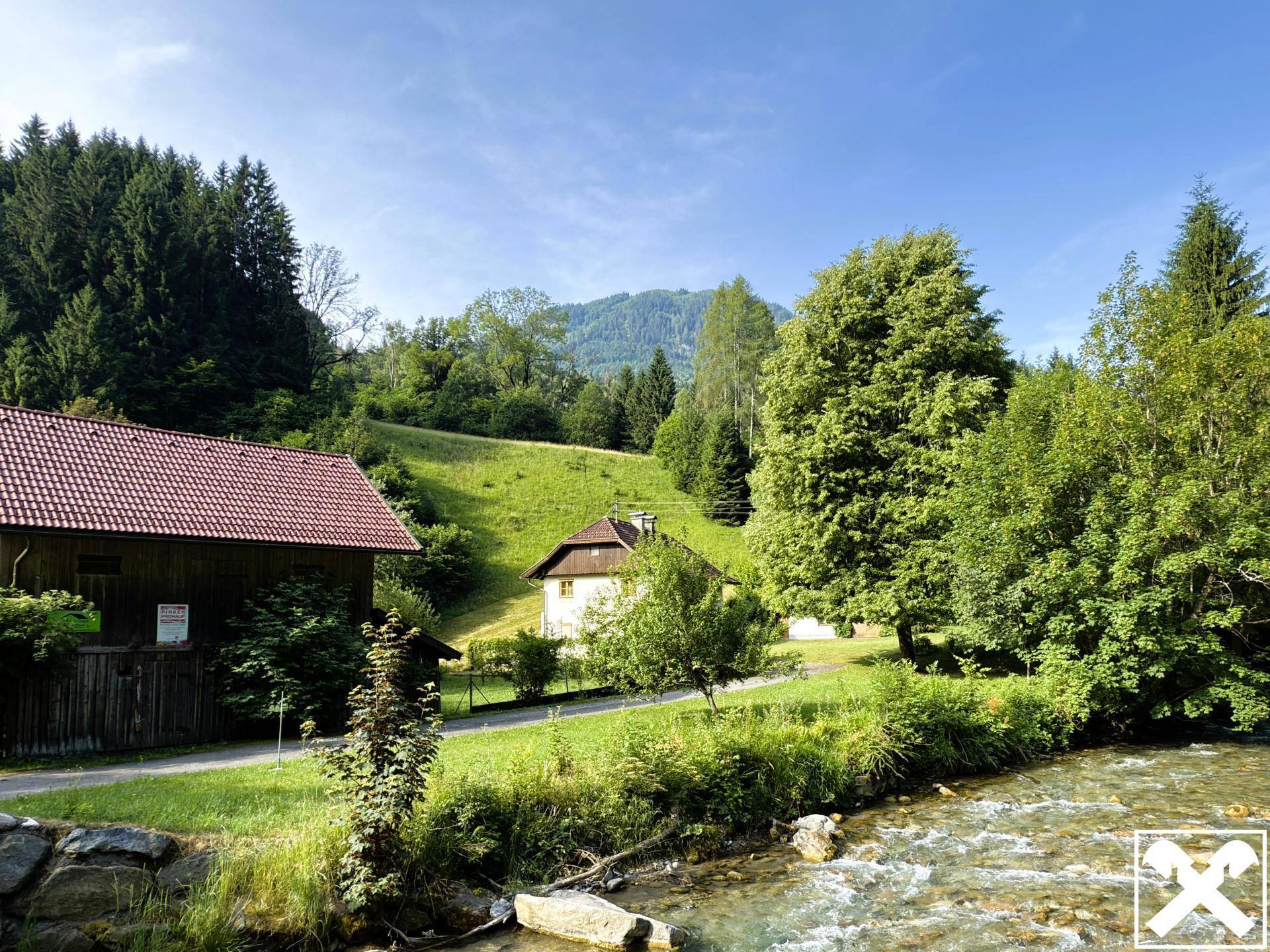 .. der Weißenbach verläuft hier an der Grundgrenze