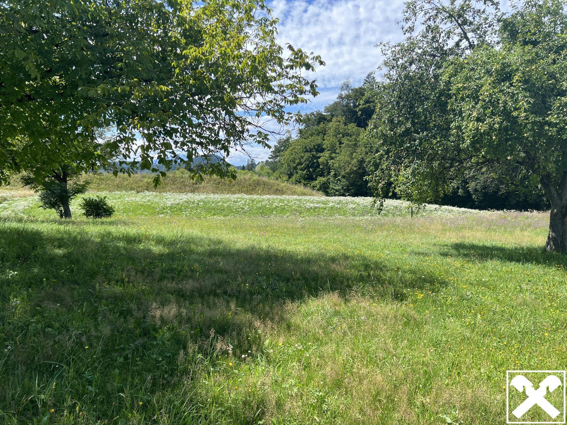Westansicht