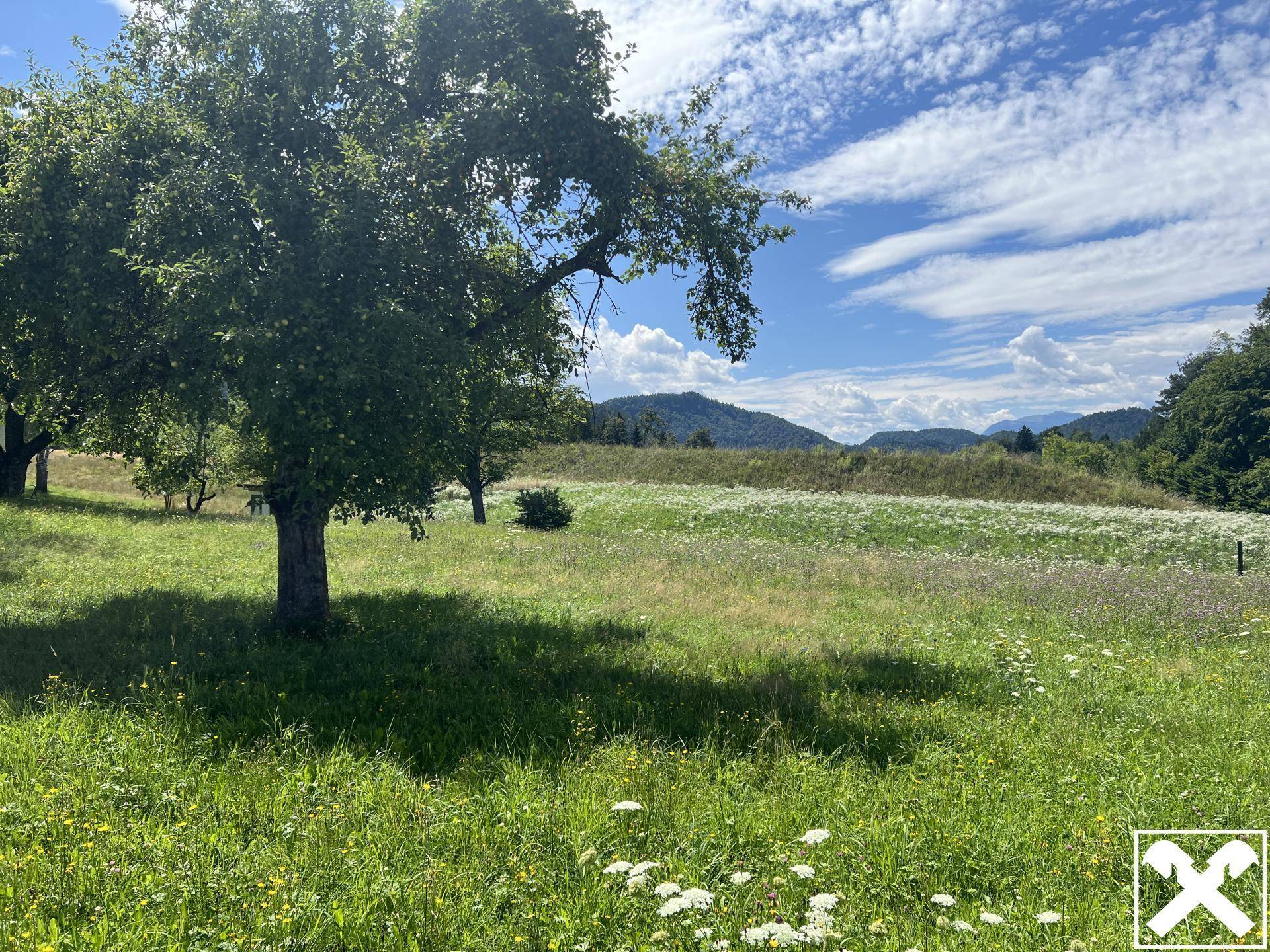 Westansicht