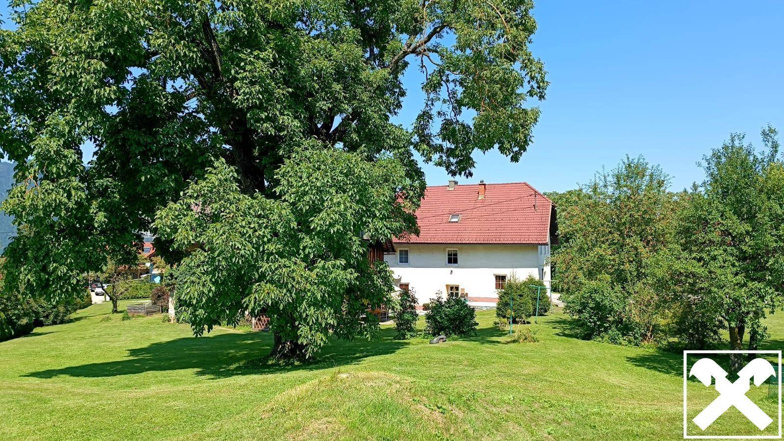 Großzügige Grünfläche mit schattenspendenden Bäumen und dem Haupthaus im Hintergrund.