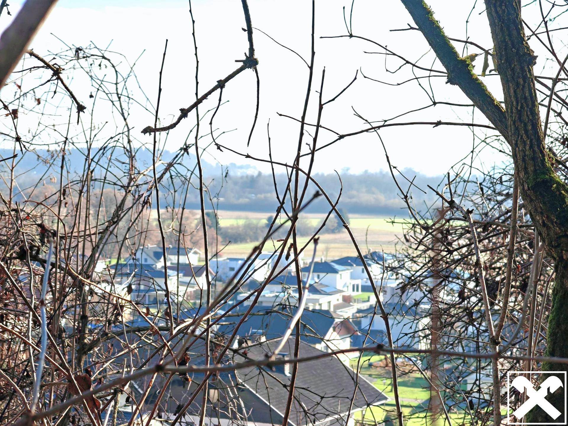 Blick durch kahle Äste auf eine Wohnsiedlung und weite Felder in der Ferne, bei hellem Tageslicht.