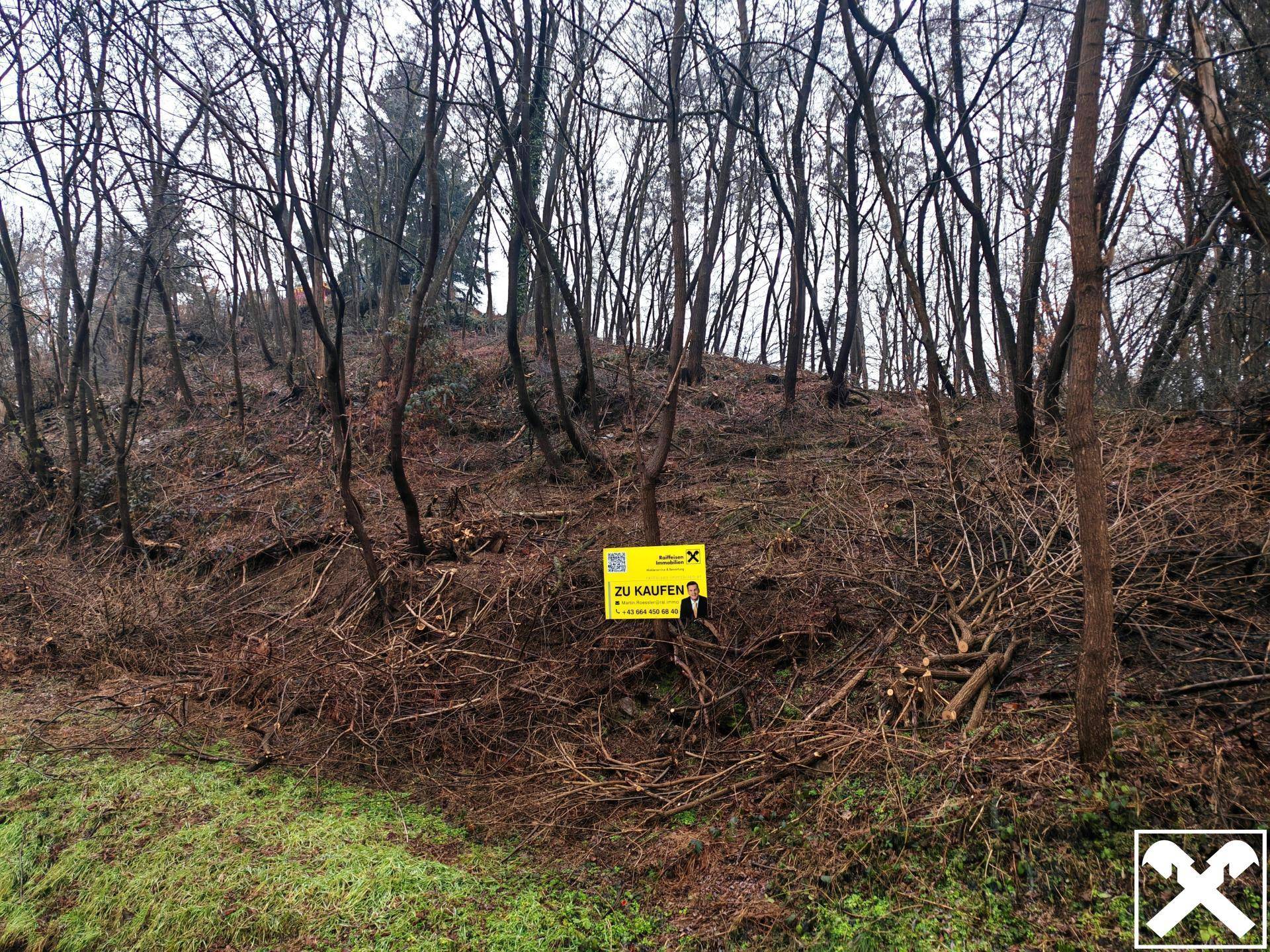 Waldiges Grundstück mit kahlen Bäumen und einem 'Zu Kaufen'-Schild, ideal für Naturliebhaber.
