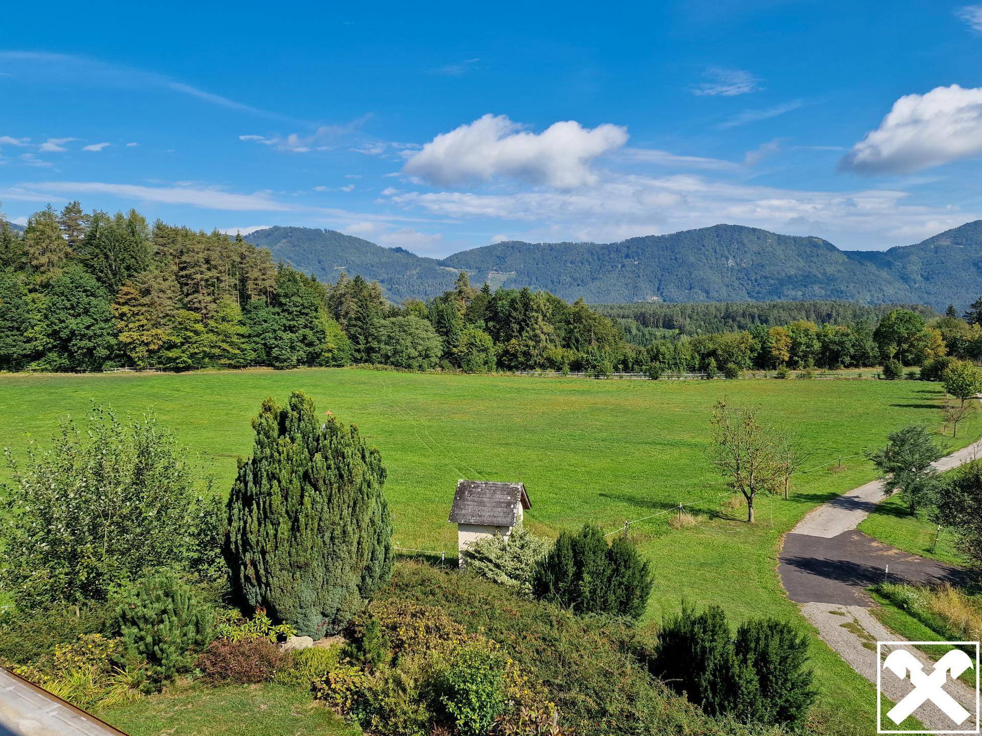 Eine weite grüne Landschaft mit Wiesen, Bäumen und Bergen unter einem strahlend blauen Himmel.
