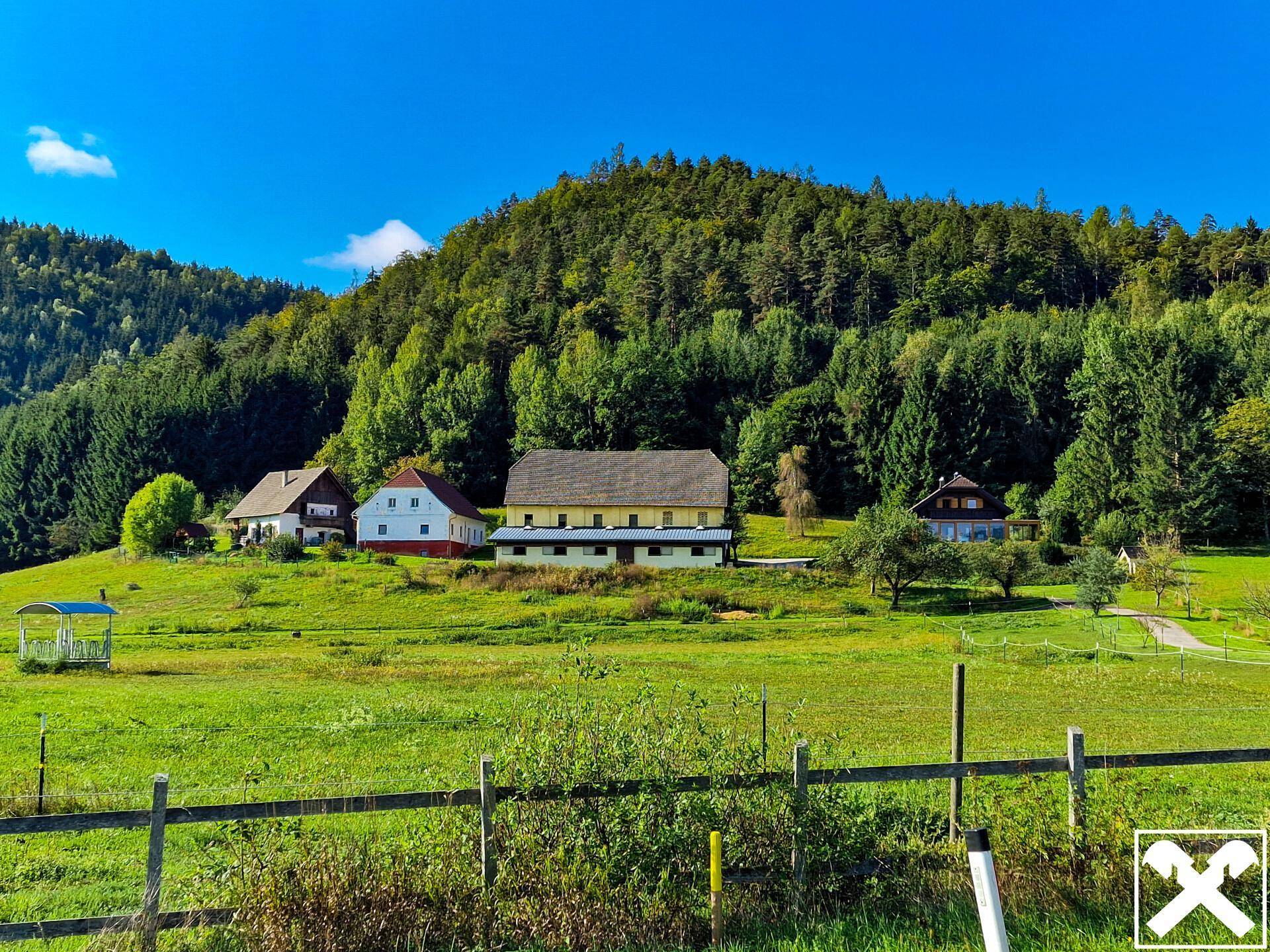 Weitläufige Landschaft mit grünen Wiesen, dichten Wäldern und mehreren ländlichen Gebäuden.