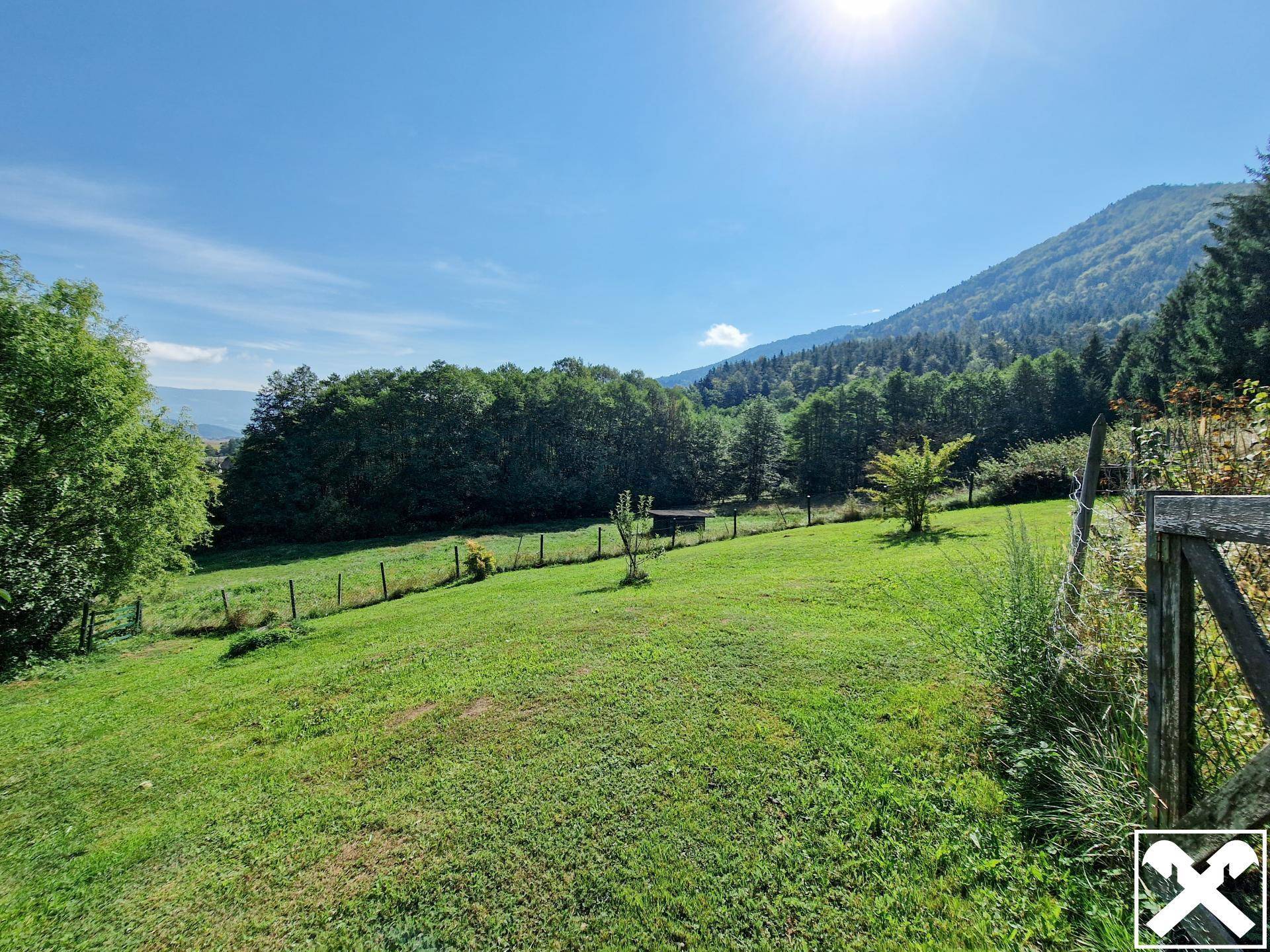 Eine sonnige, leicht abfallende grüne Wiese mit Bäumen und Bergen im Hintergrund.