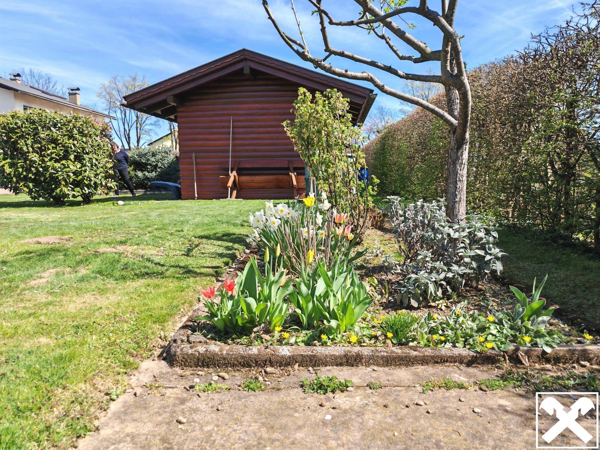 Bepflanztes Blumenbeet mit Frühlingsblumen und rustikalem Gartenhaus im Hintergrund.