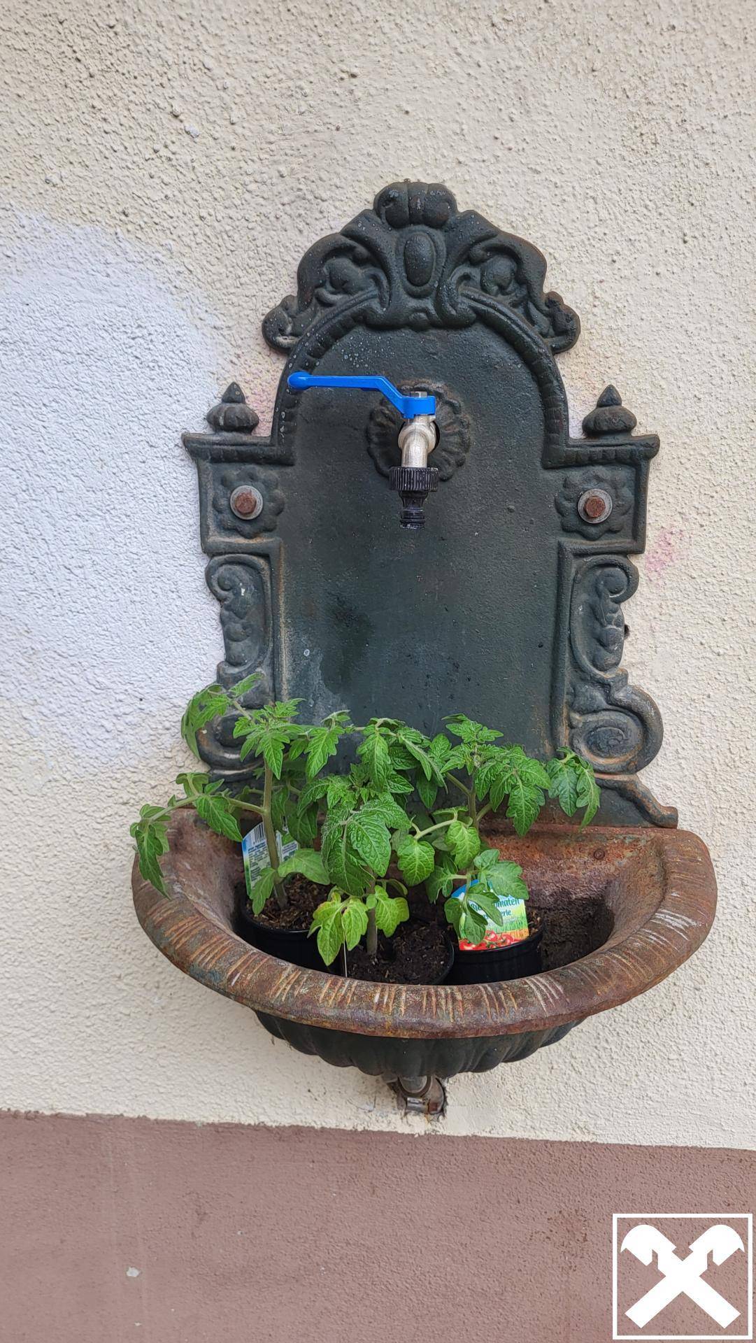 Dekorativer Wandbrunnen aus Gusseisen mit Pflanzen als Zierelement.